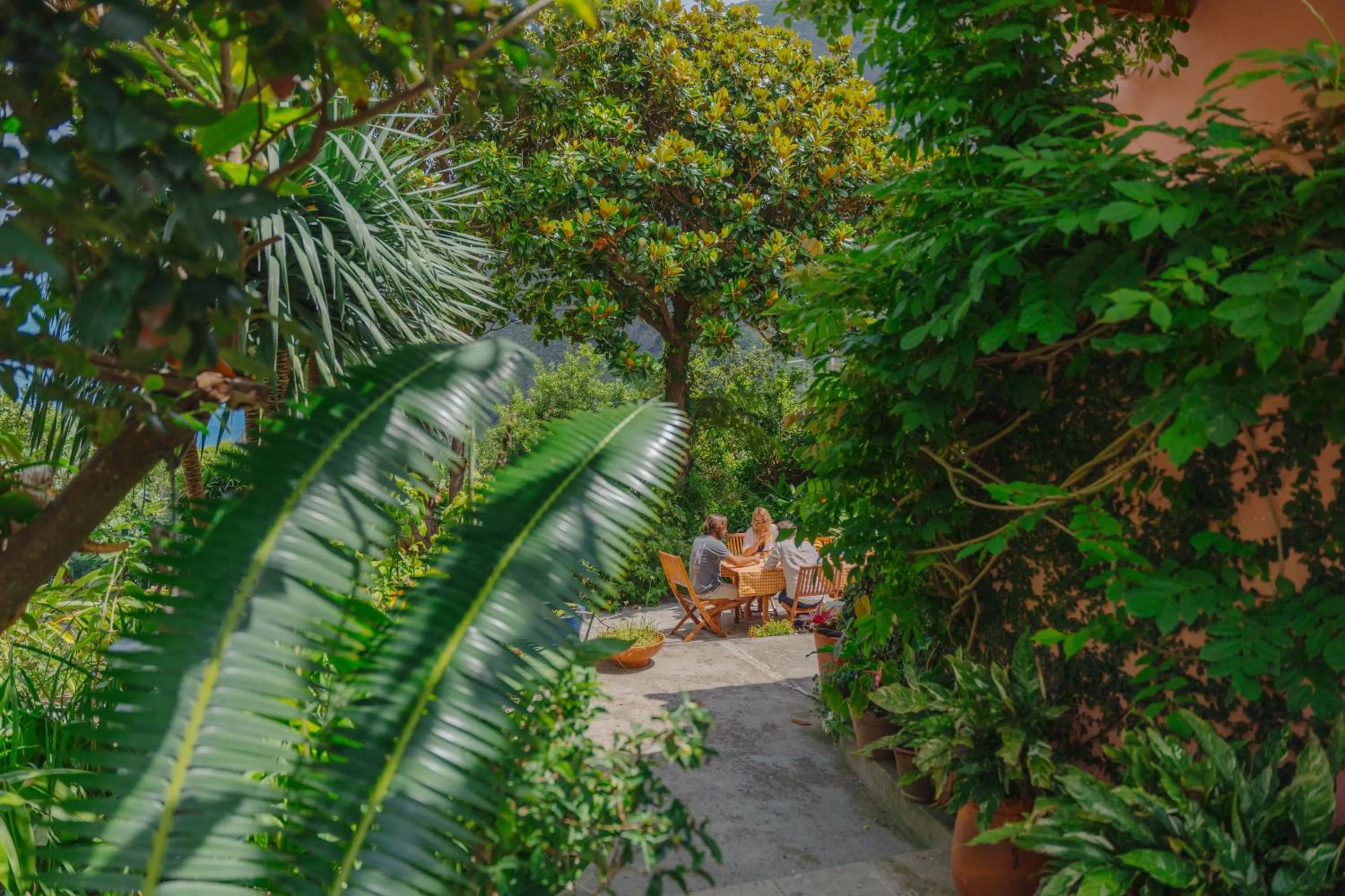 Day in Madeira Surf Lodge