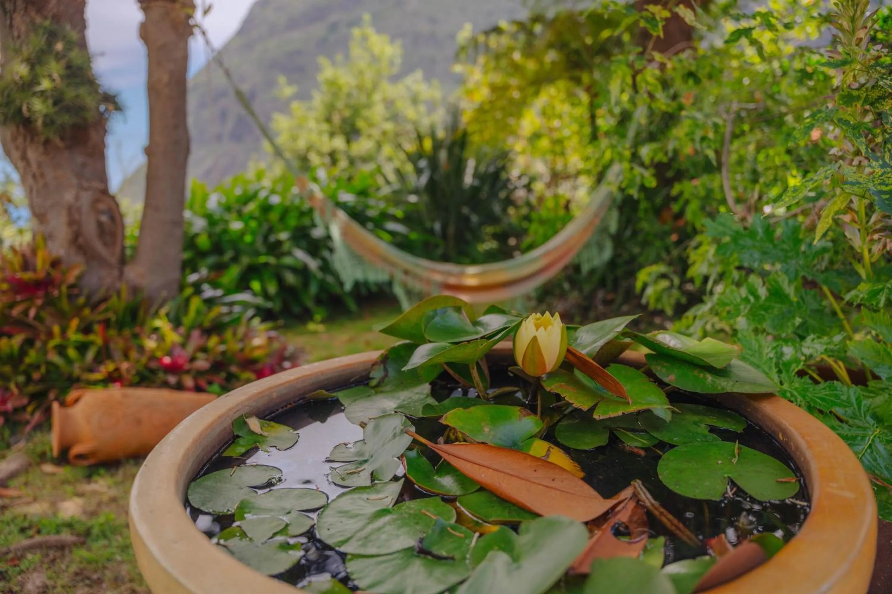 Day in Madeira Surf Lodge