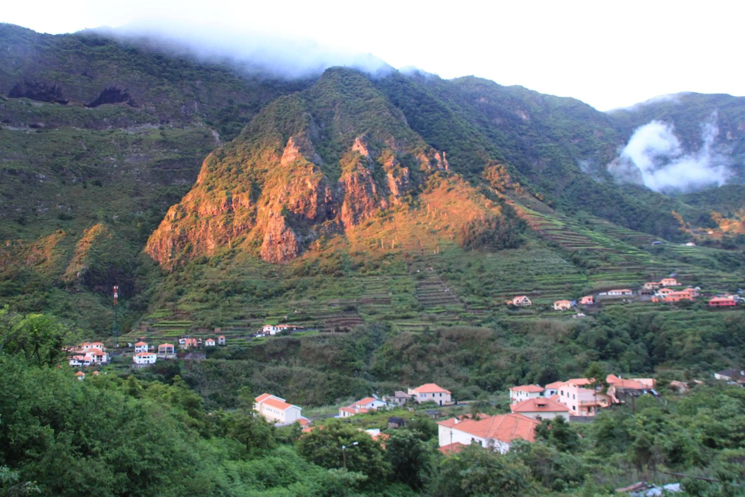 Garden view in Madeira Surf Lodge