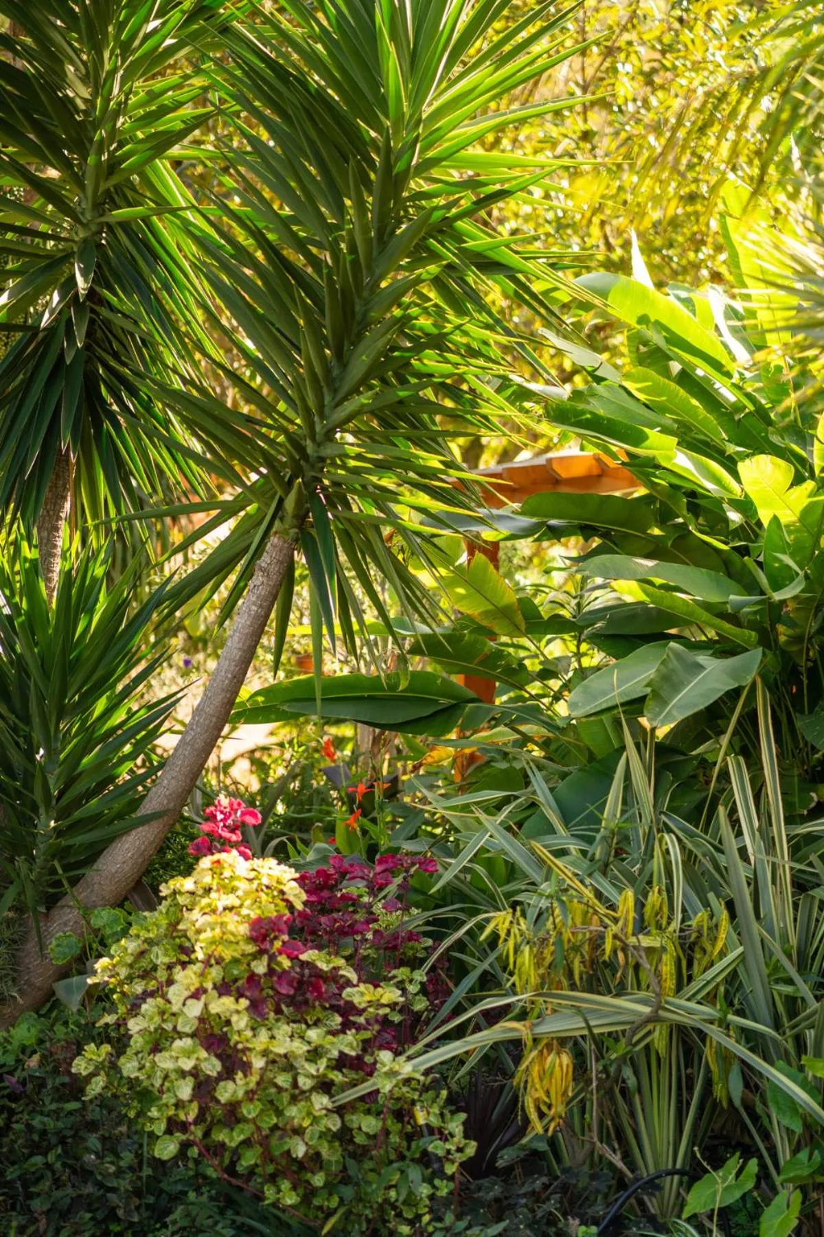 Spring in Madeira Surf Lodge