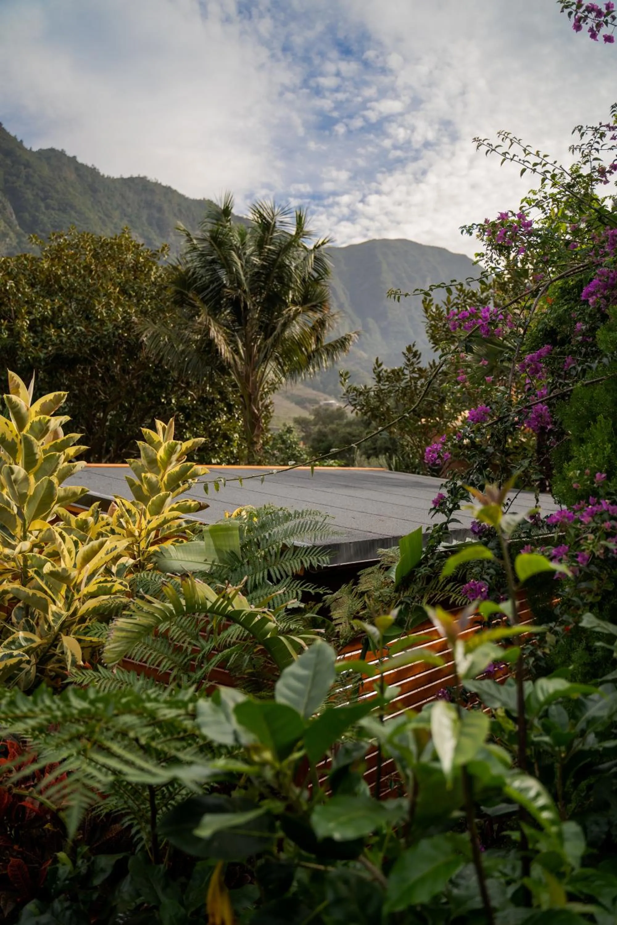 Property building in Madeira Surf Lodge