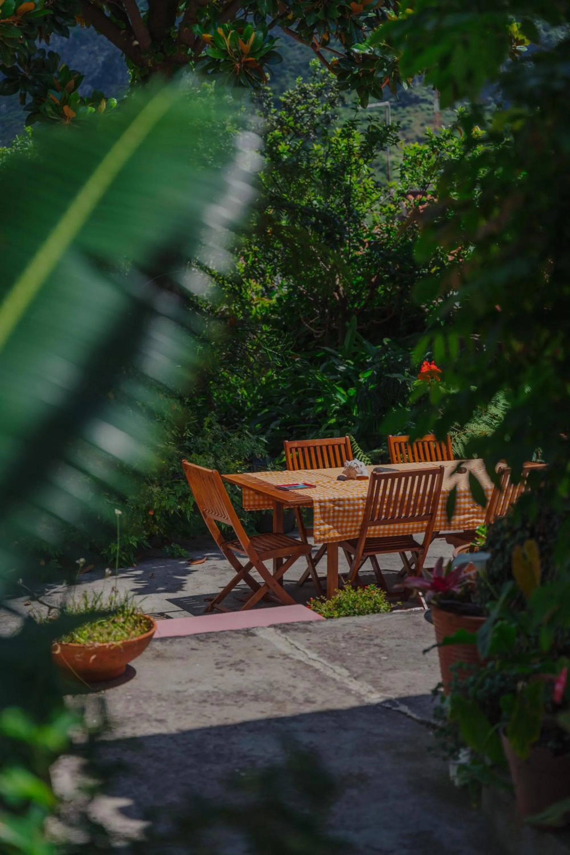 Day in Madeira Surf Lodge