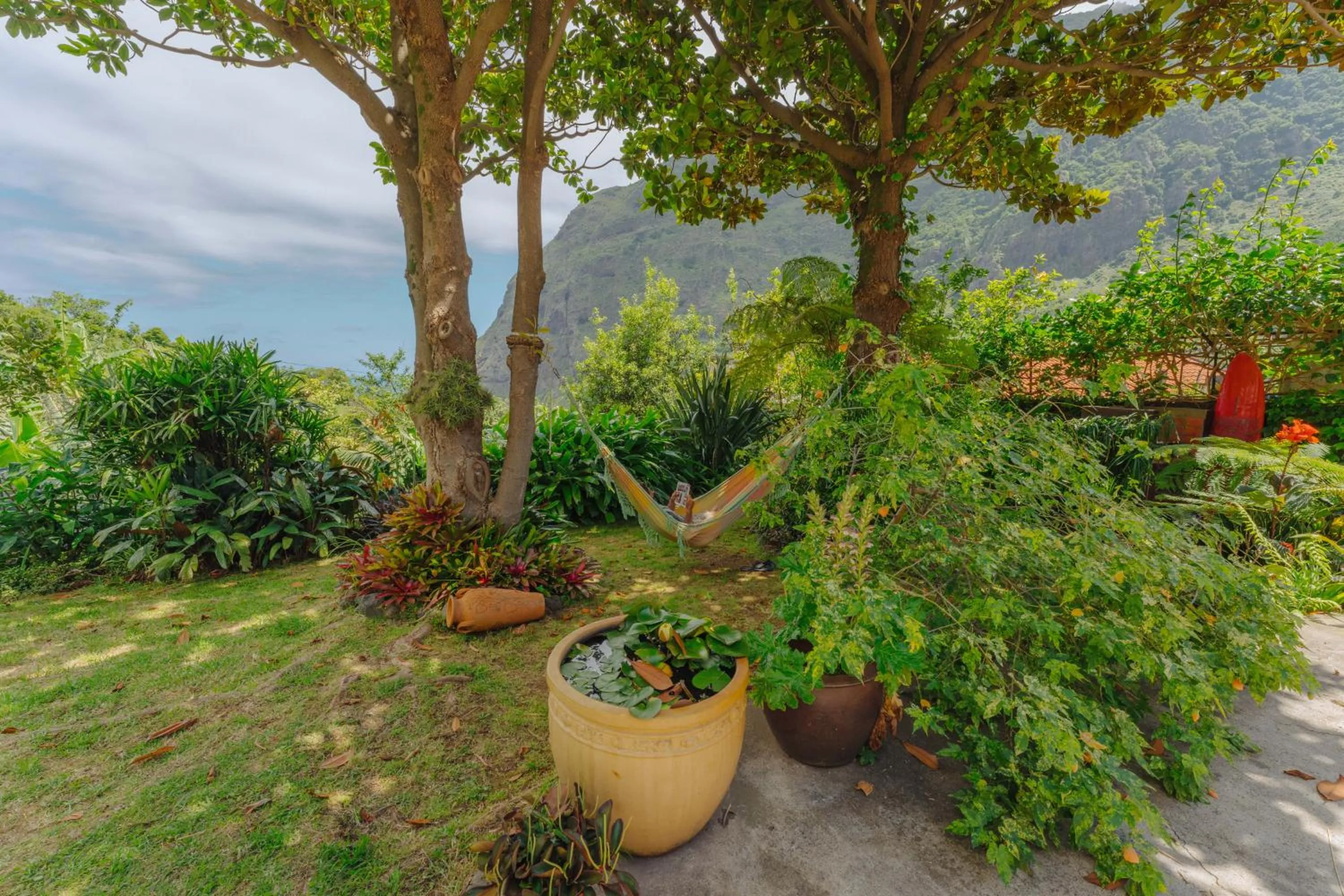 Garden in Madeira Surf Lodge
