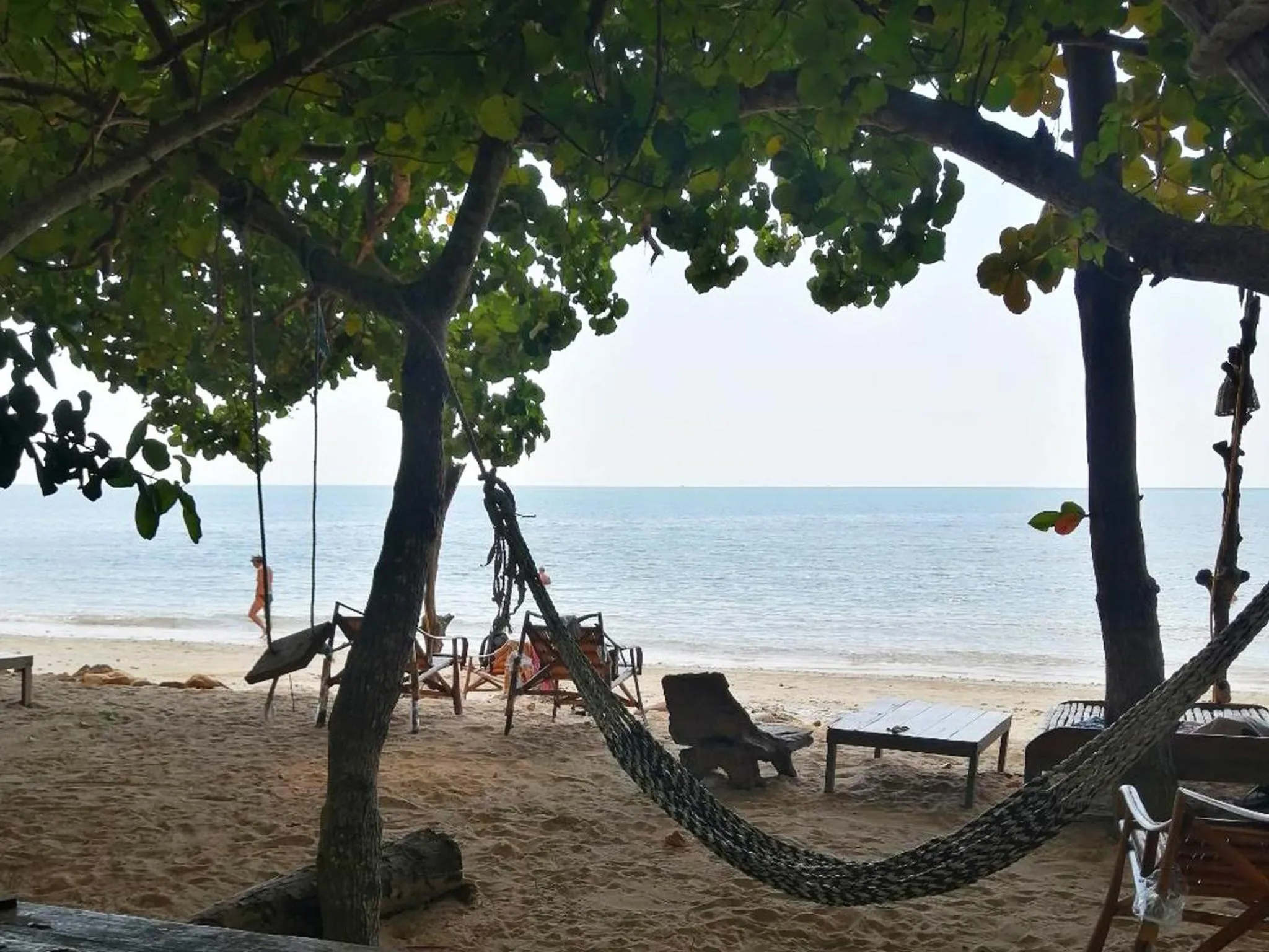 Natural landscape in Bonhomie Beach Cottage