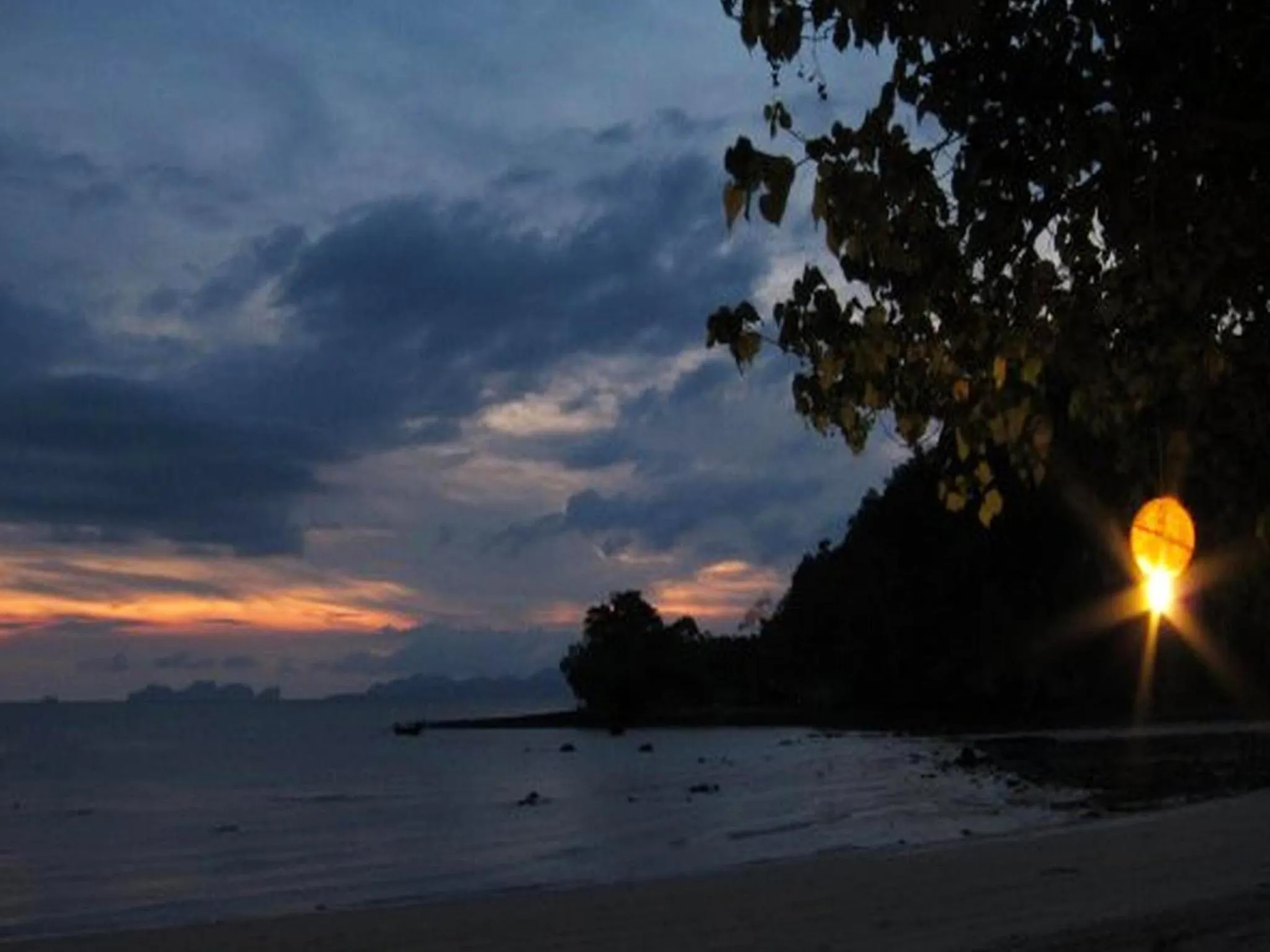Natural landscape in Bonhomie Beach Cottage