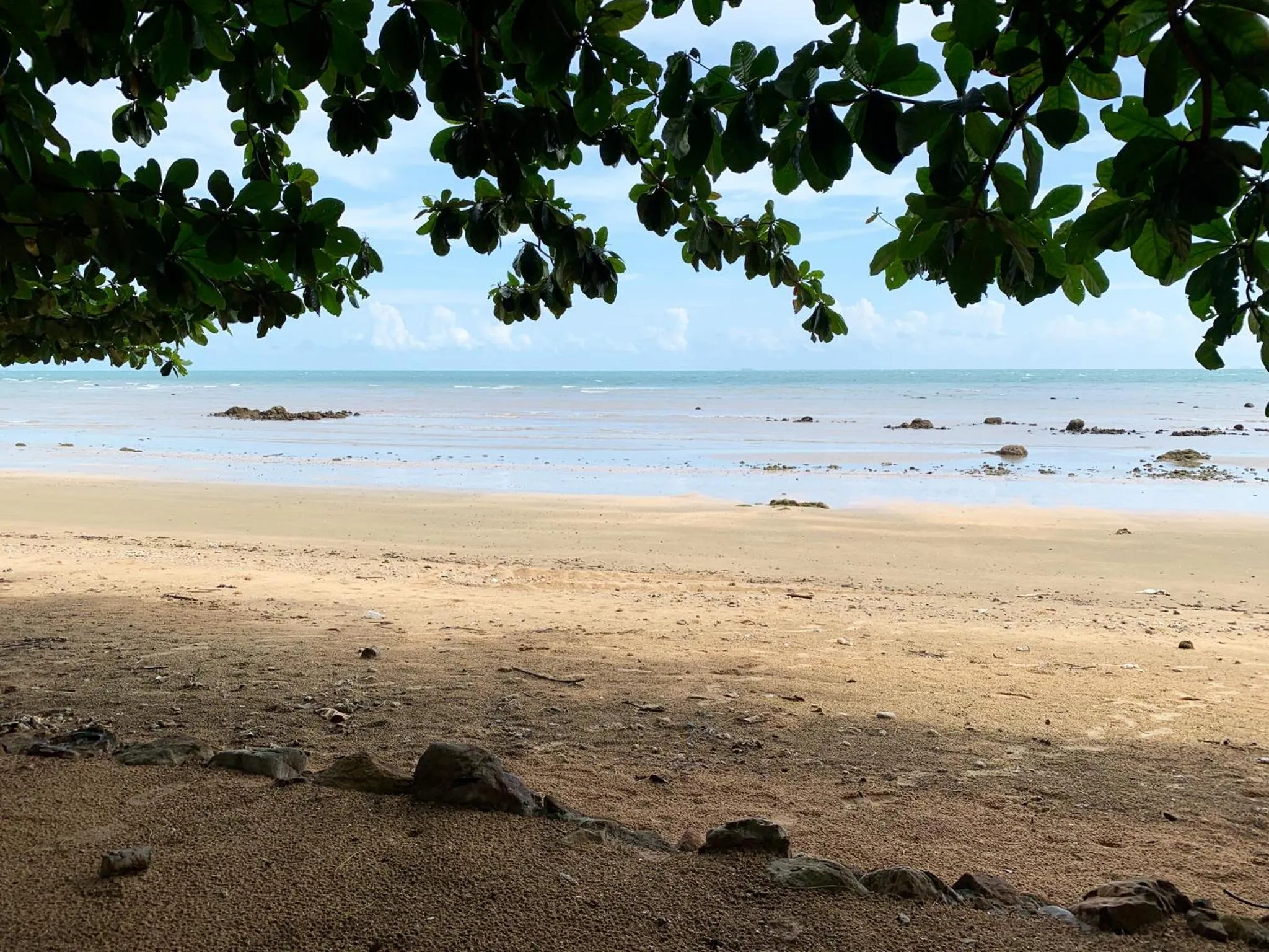Natural landscape in Bonhomie Beach Cottage