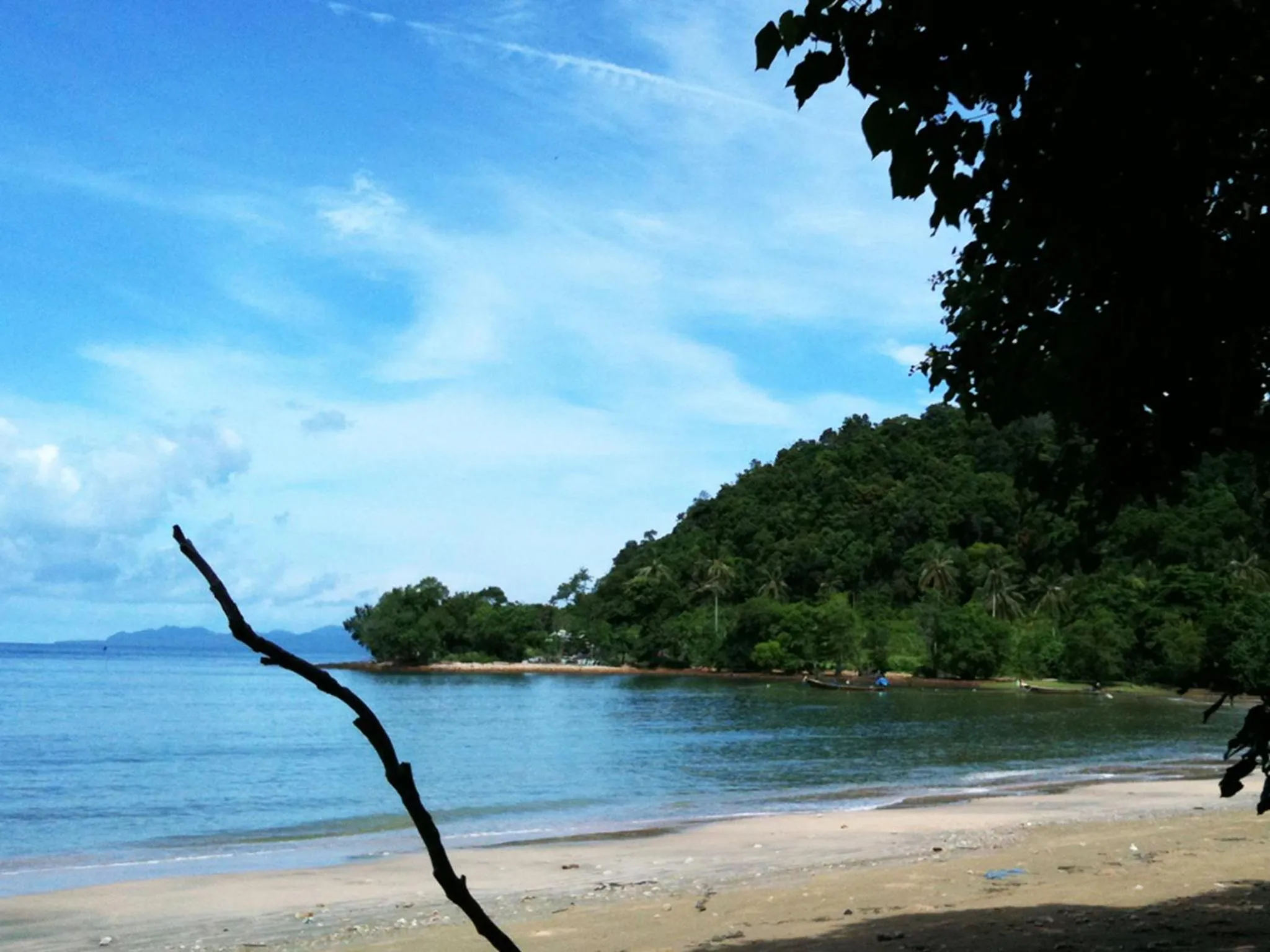 Natural landscape in Bonhomie Beach Cottage