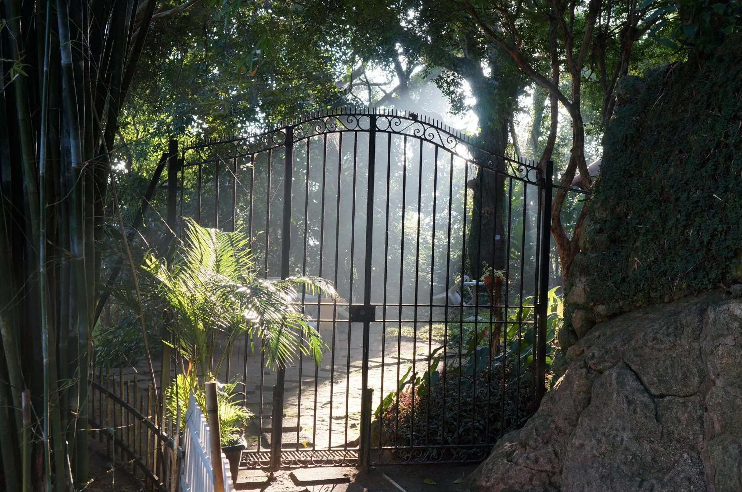 Garden in Casa Caminho do Corcovado - Pet friendly