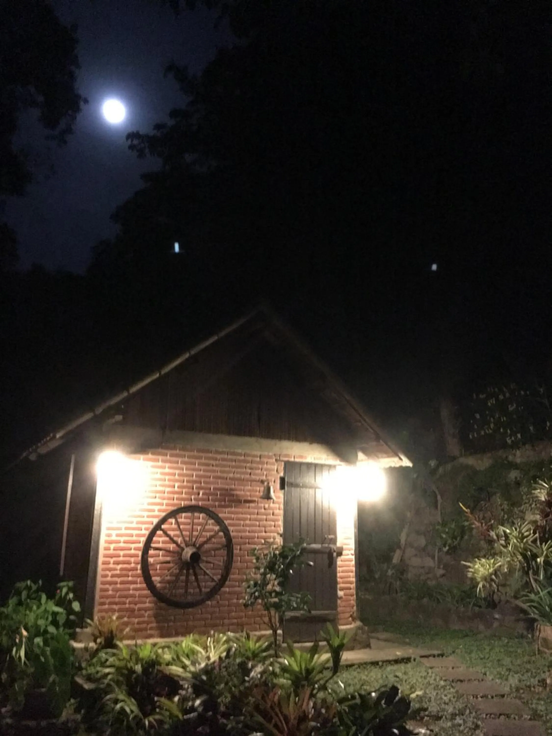 Garden in Casa Caminho do Corcovado - Pet friendly