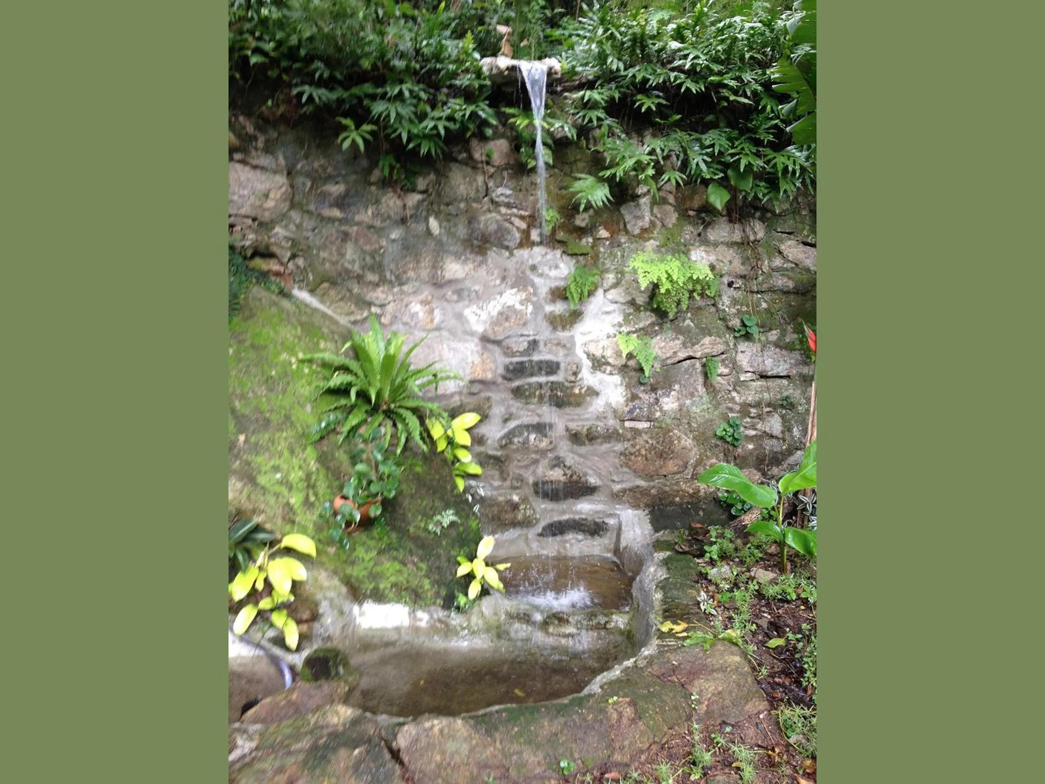 Garden in Casa Caminho do Corcovado - Pet friendly