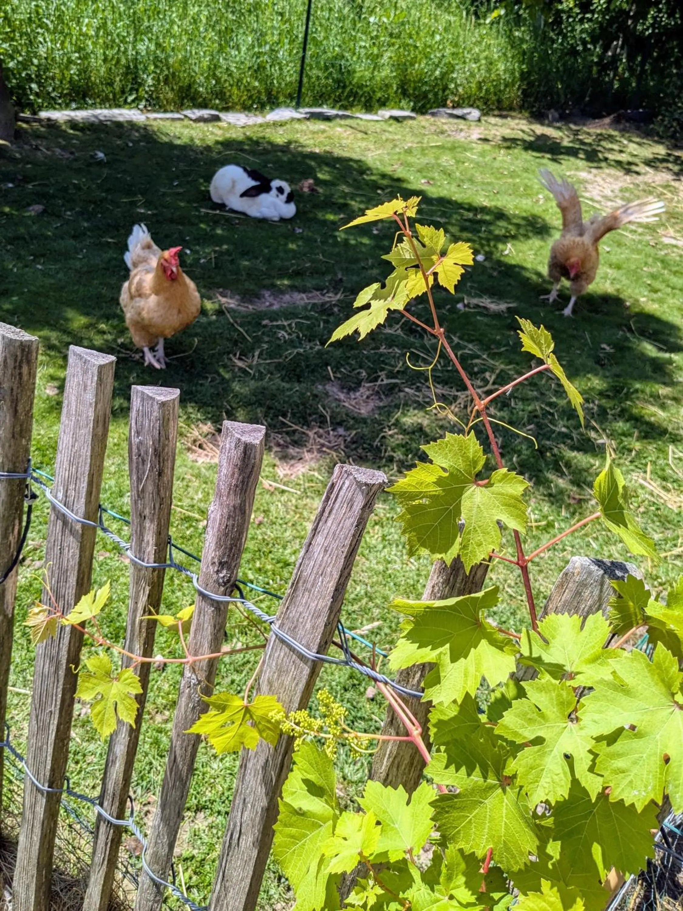 Chambres d'hôtes chez l'habitant - Bed & Breakfast homestay