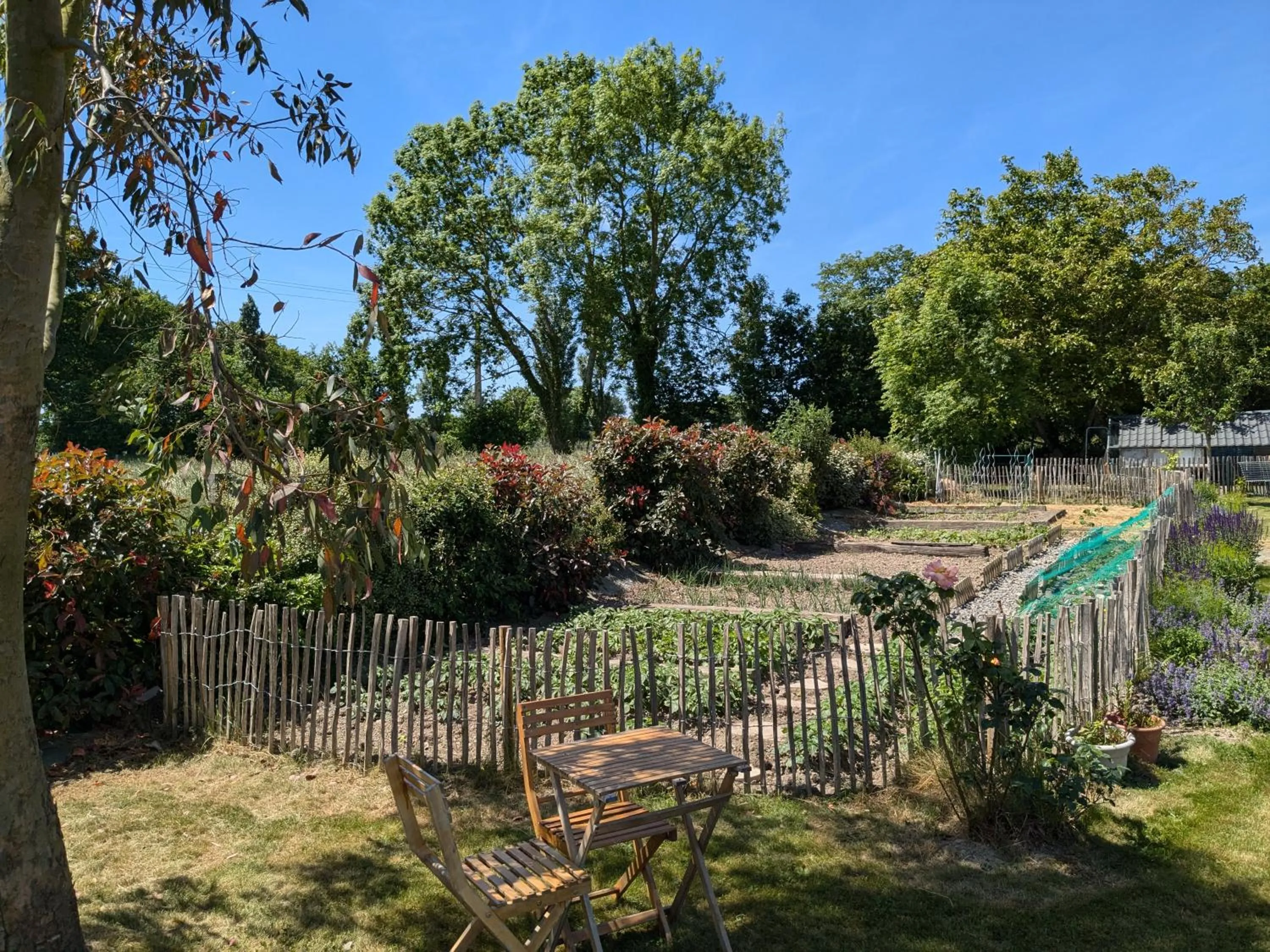 Chambres d'hôtes chez l'habitant - Bed & Breakfast homestay