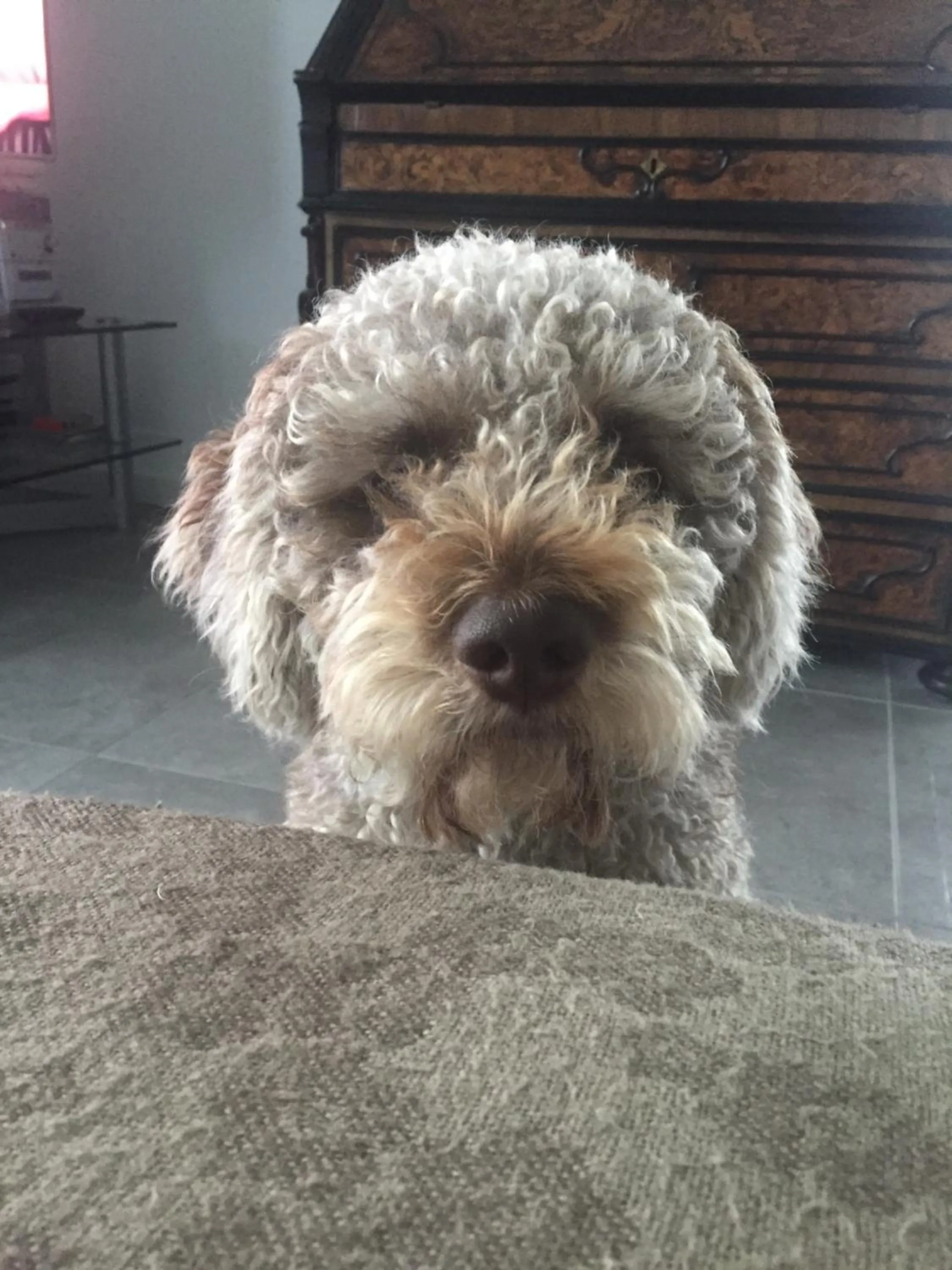 Aqua&Co Bellagio - Eco conscious stay