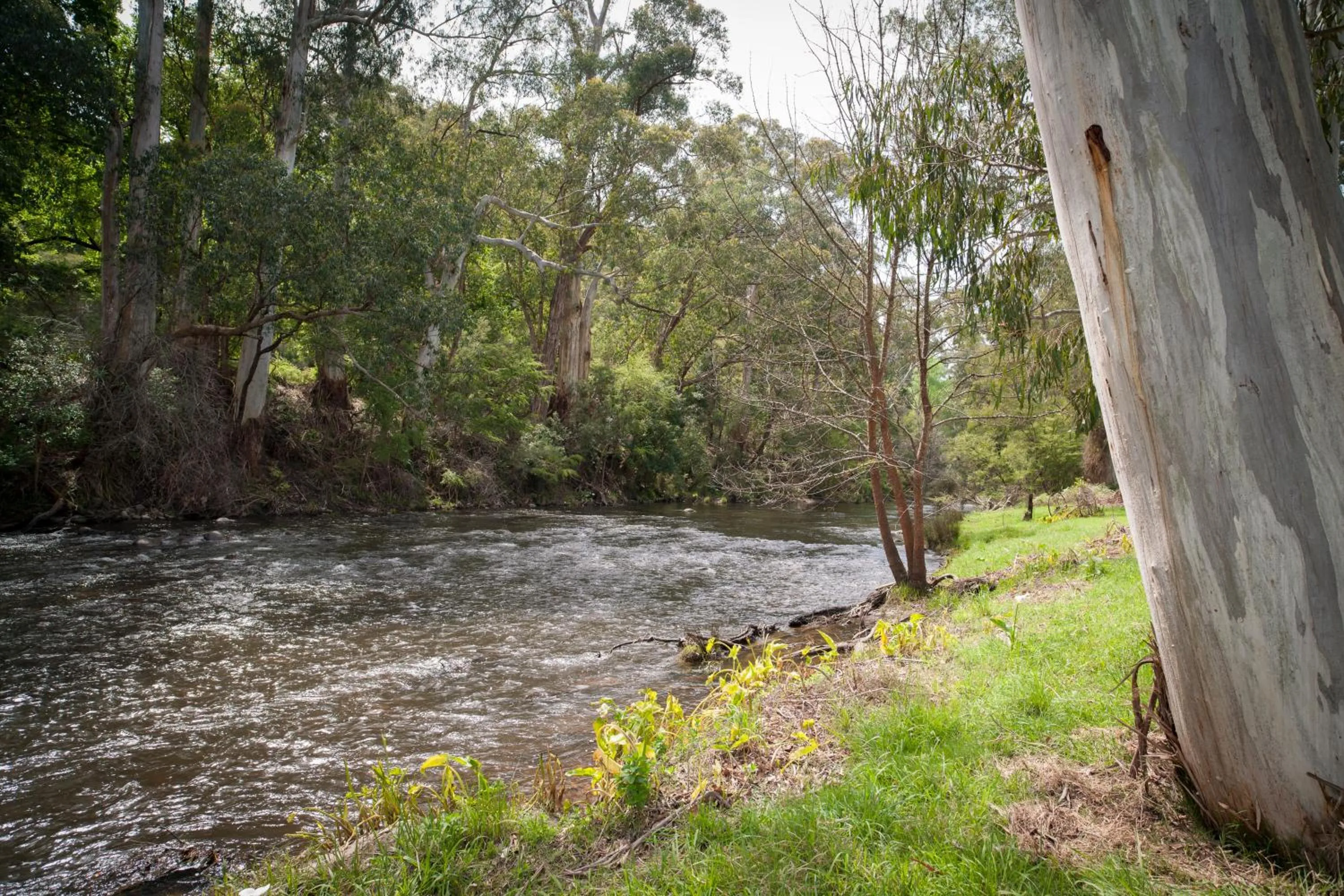 Natural landscape in Oscar's On The Yarra