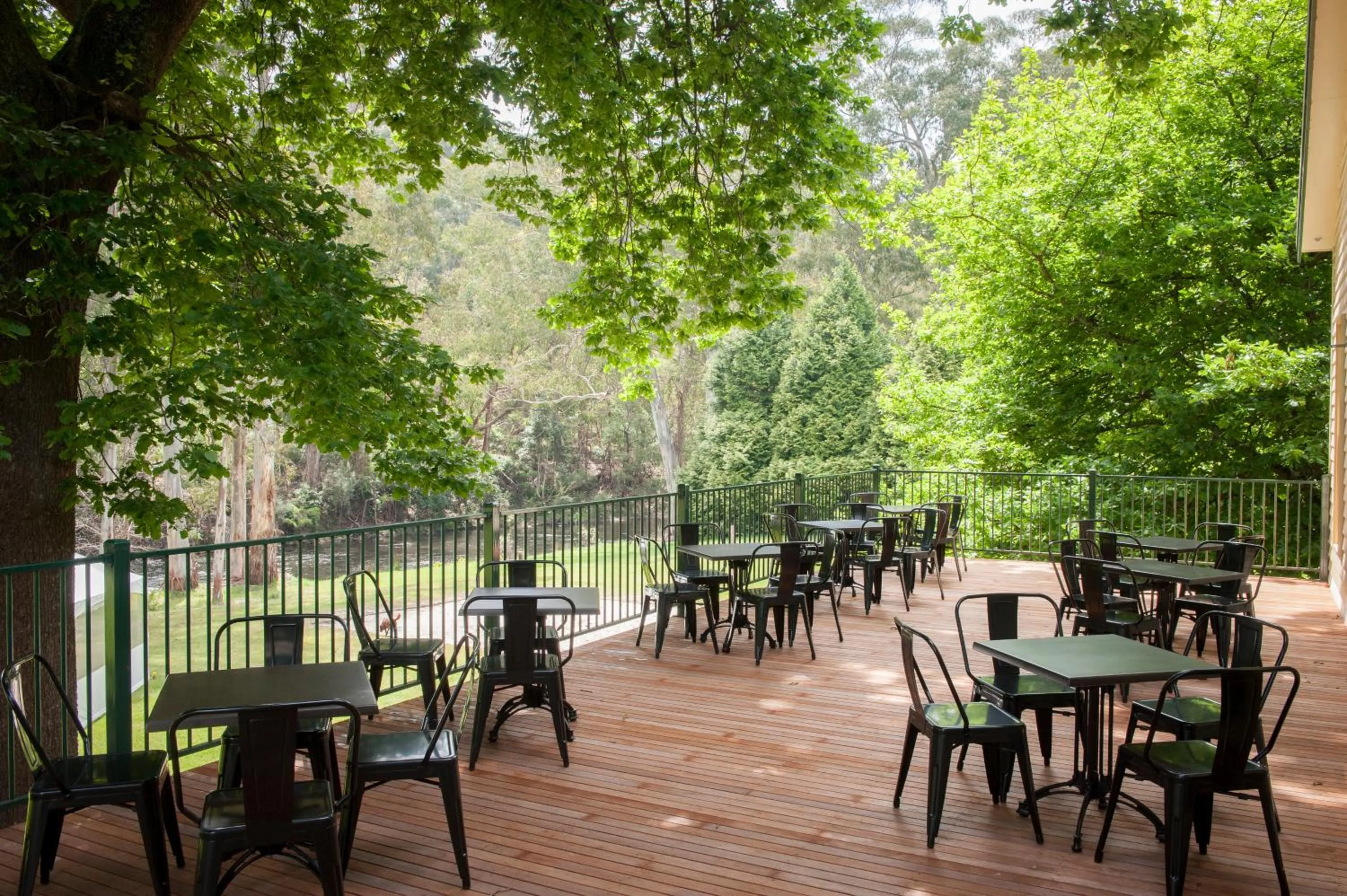 Garden in Oscar's On The Yarra