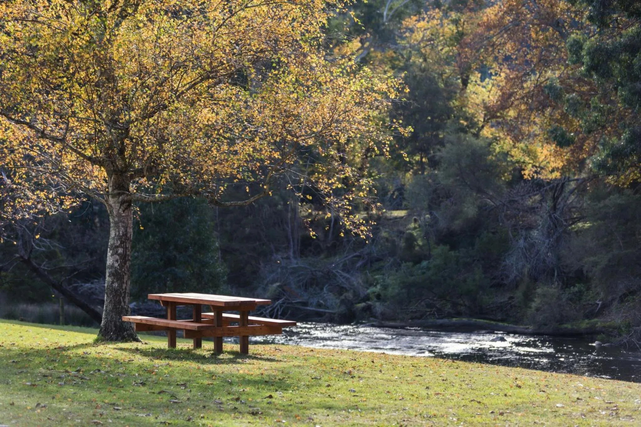 Oscar's On The Yarra