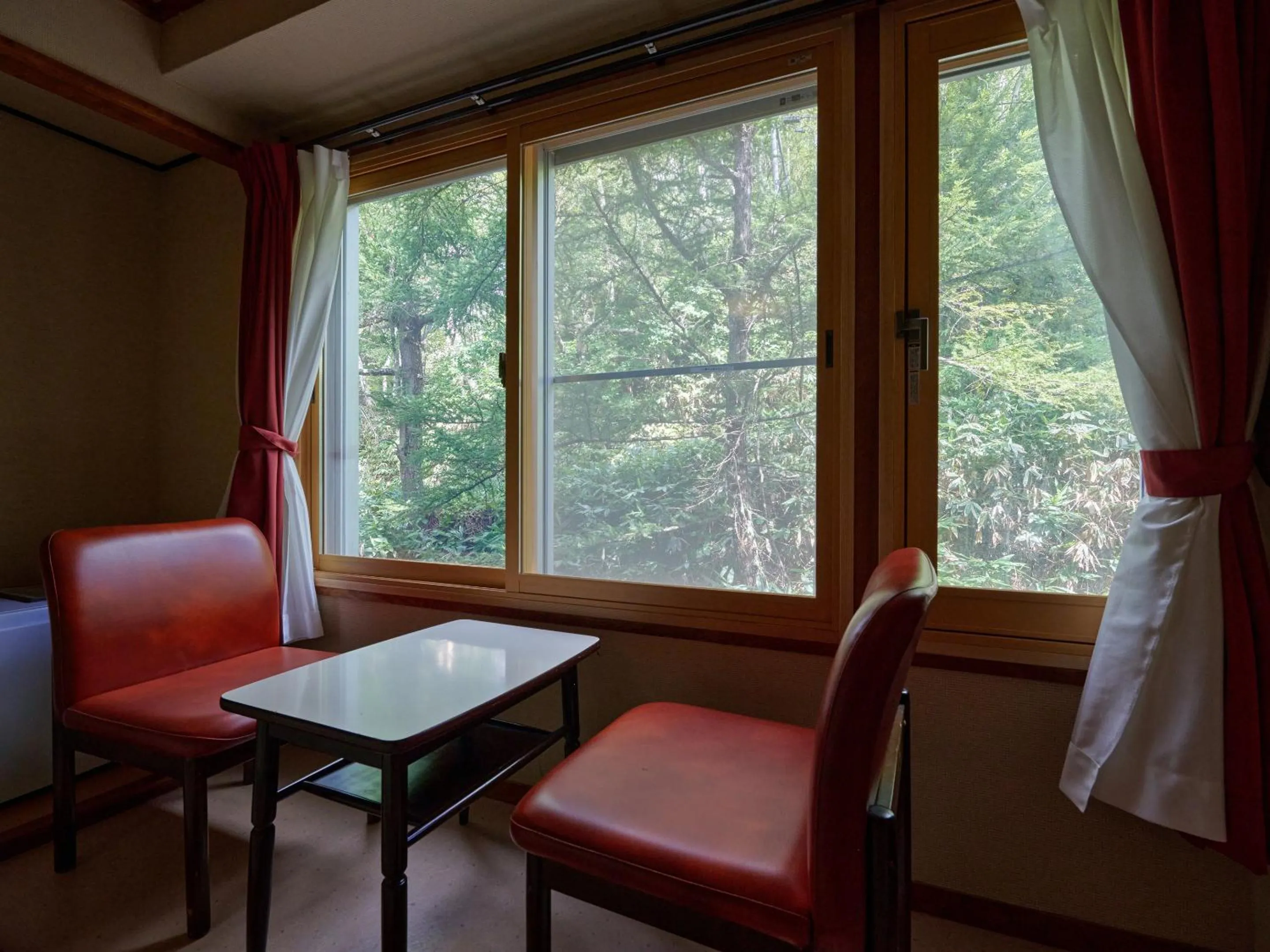 Photo of the whole room in Ishinoyu Lodge