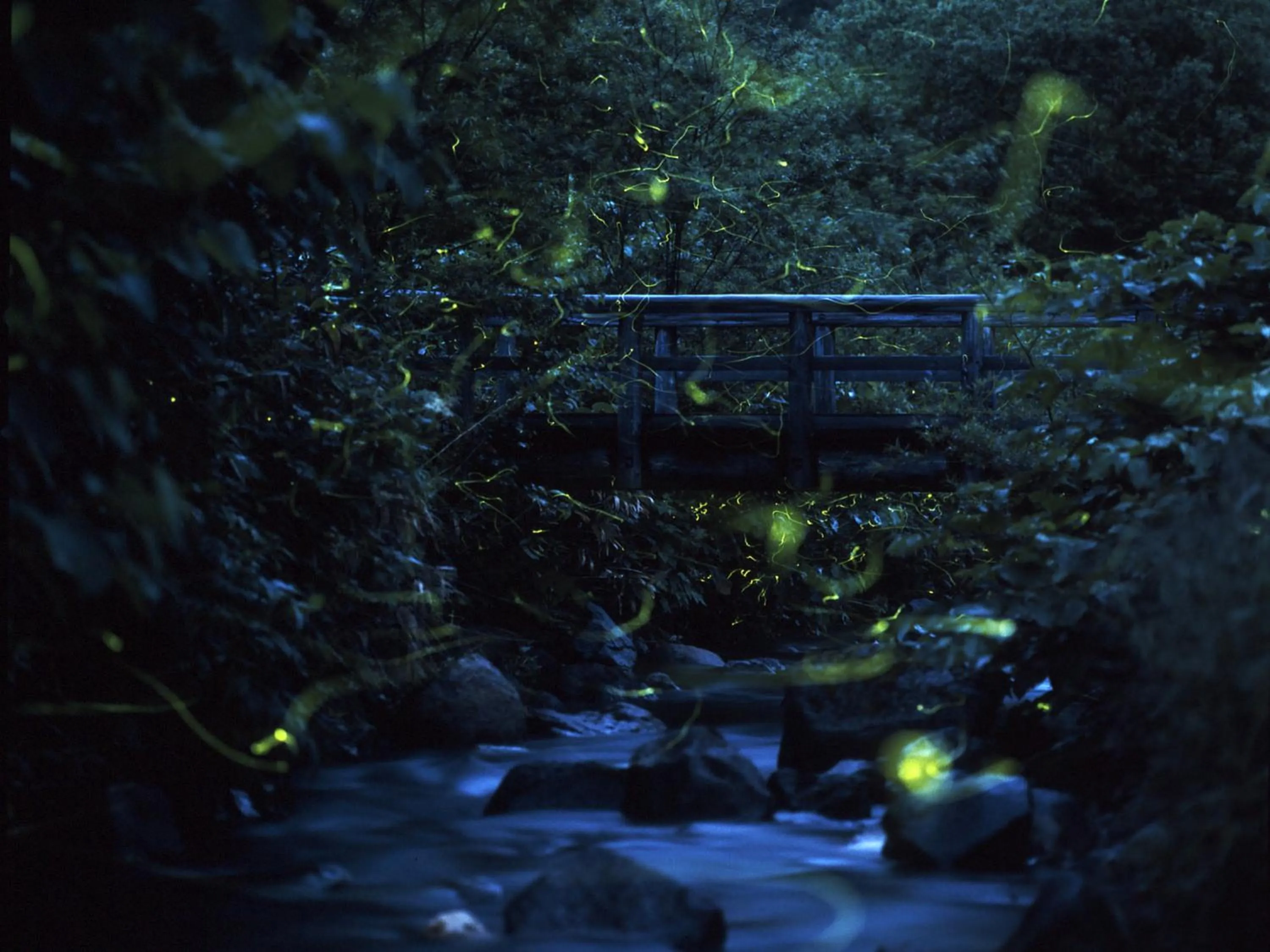 Nearby landmark in Ishinoyu Lodge
