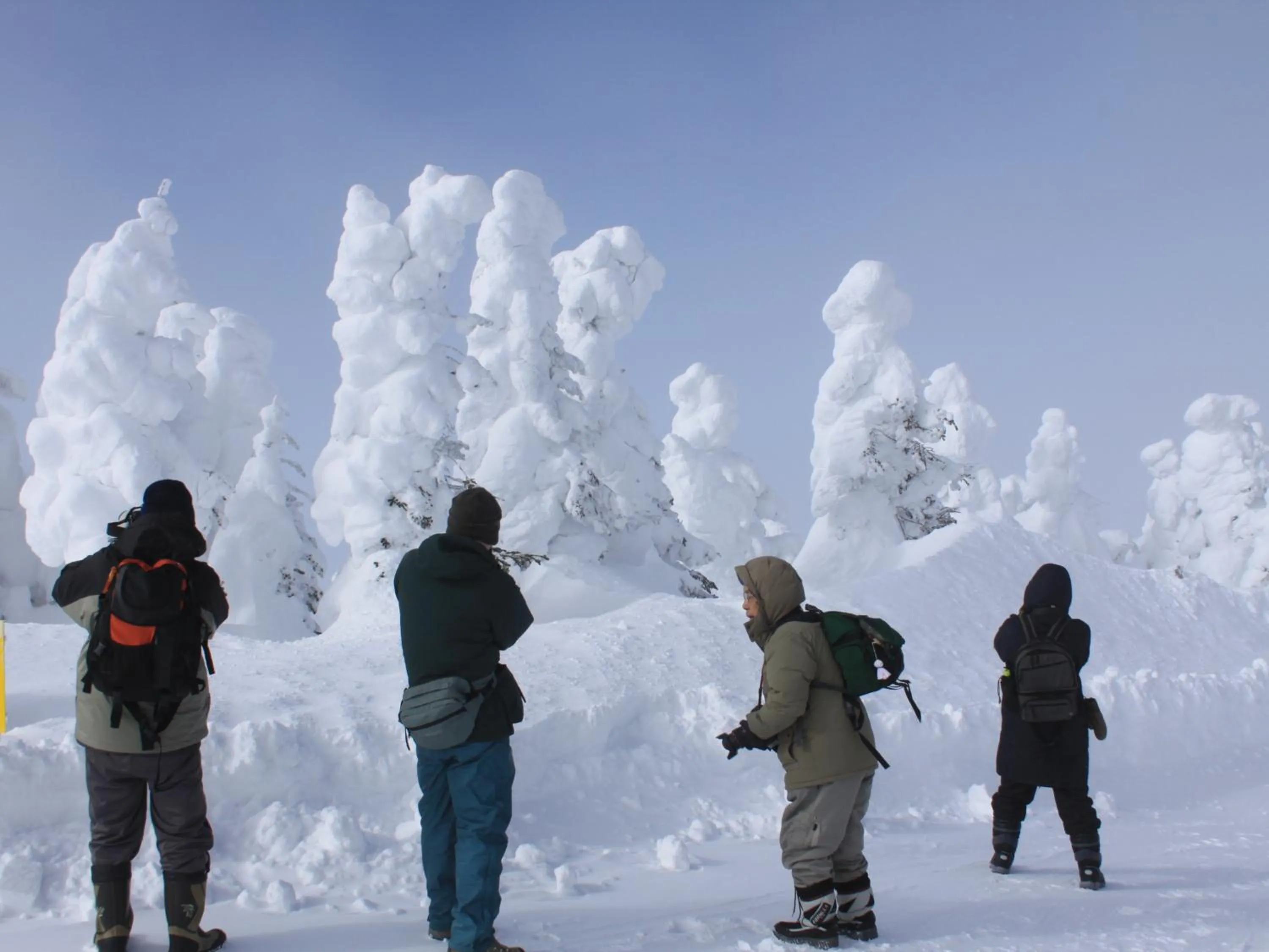 Nearby landmark in Ishinoyu Lodge