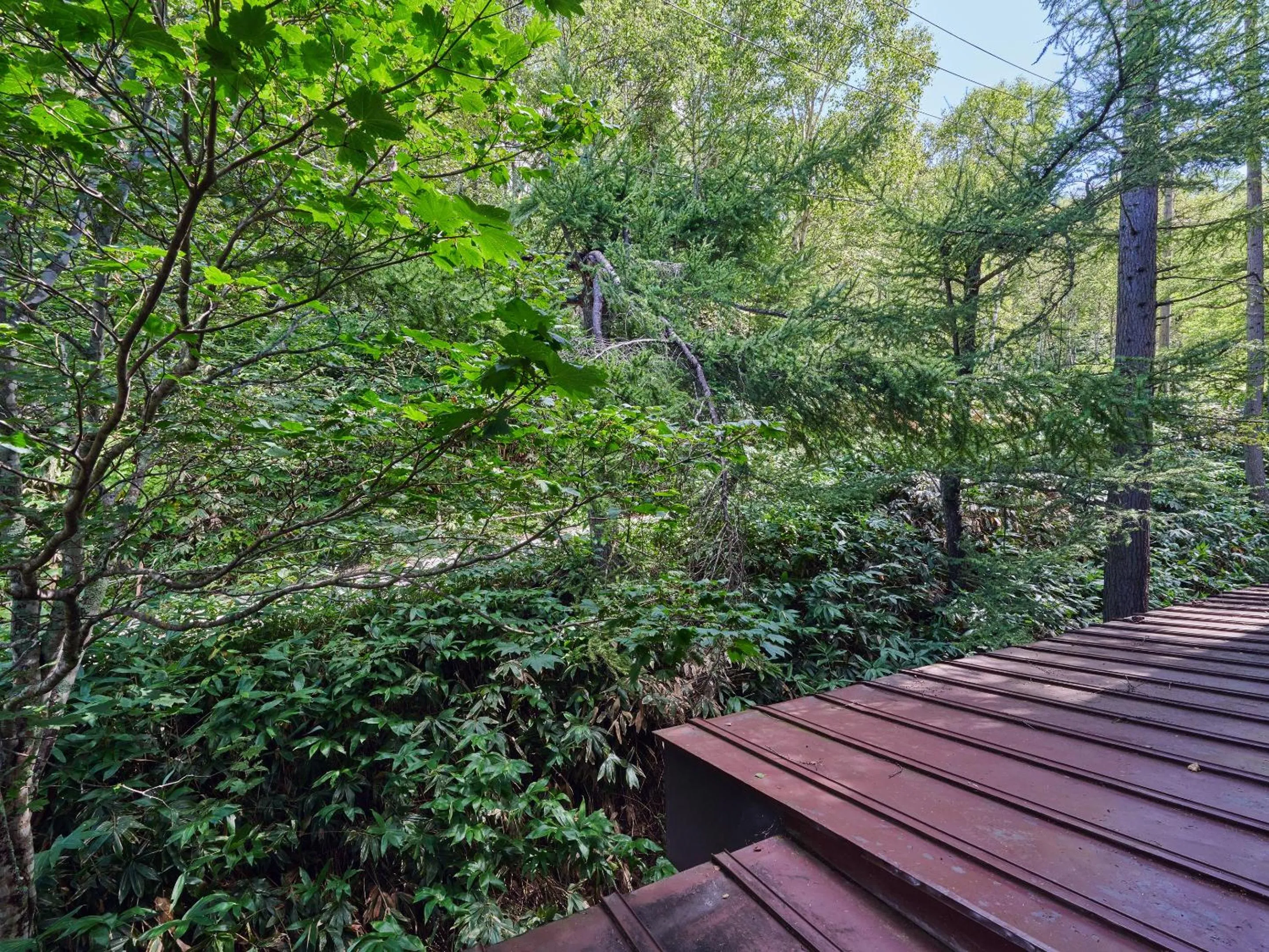 Natural landscape in Ishinoyu Lodge