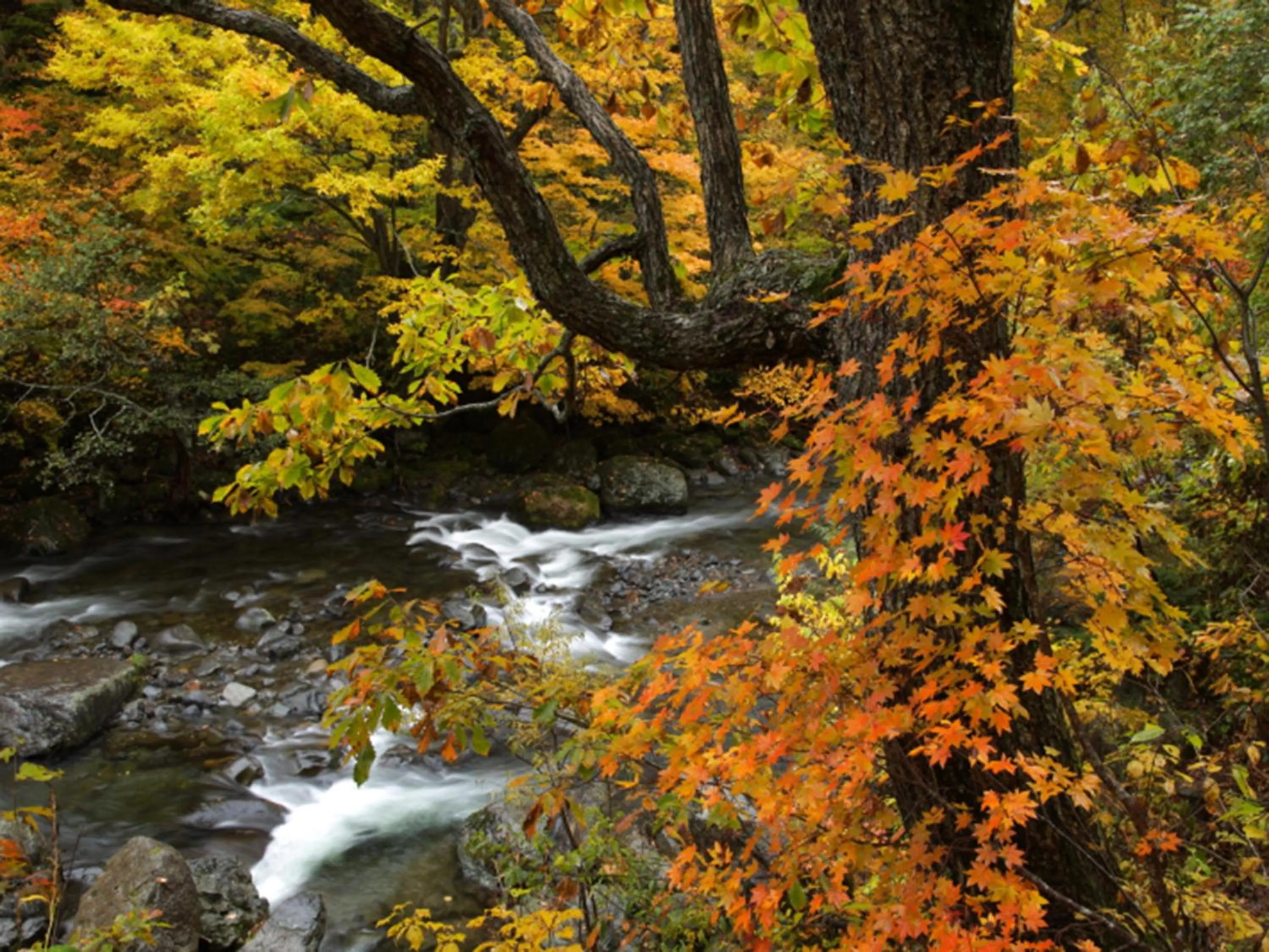 Nearby landmark in Ishinoyu Lodge