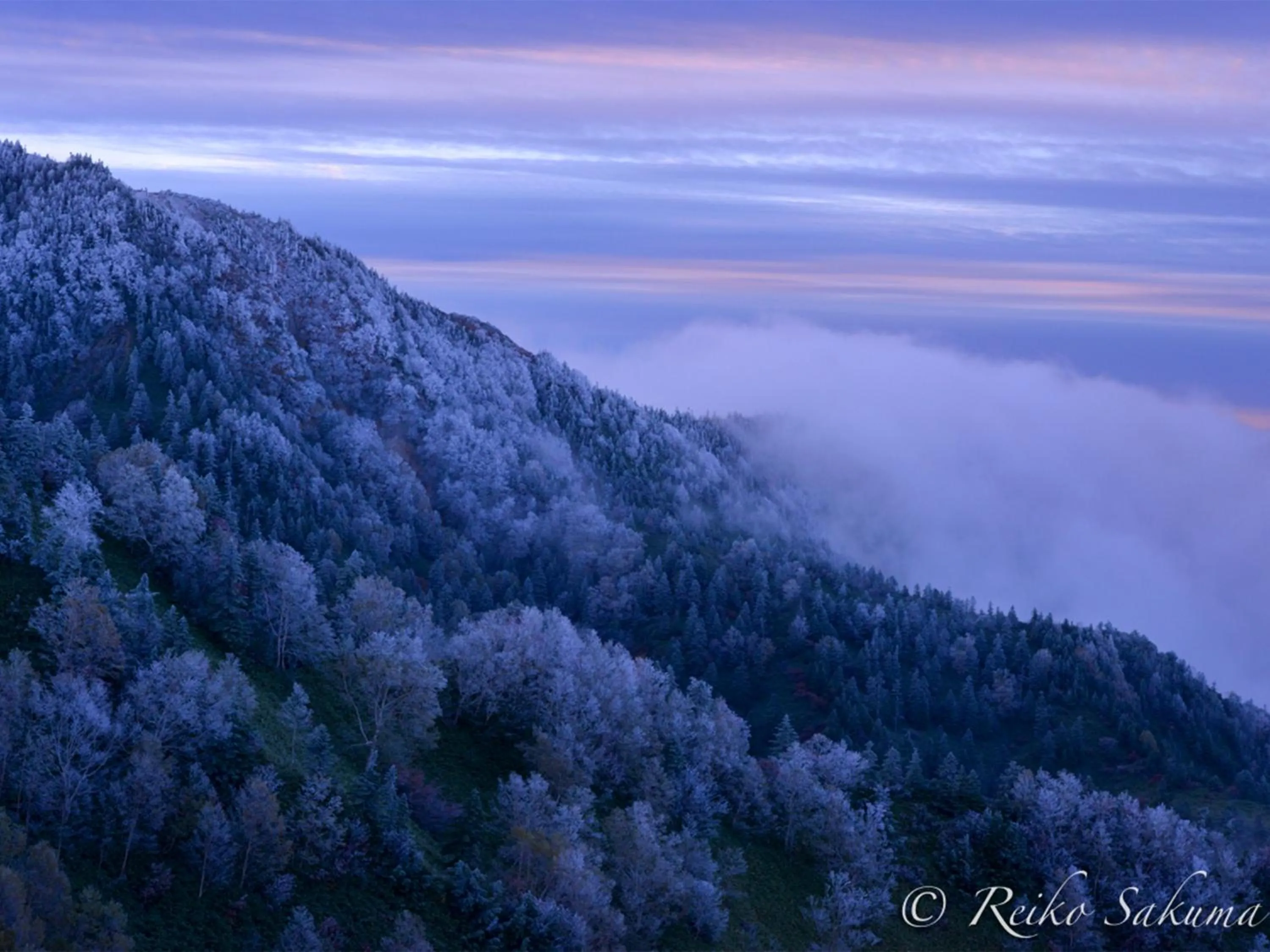 Off site in Ishinoyu Lodge