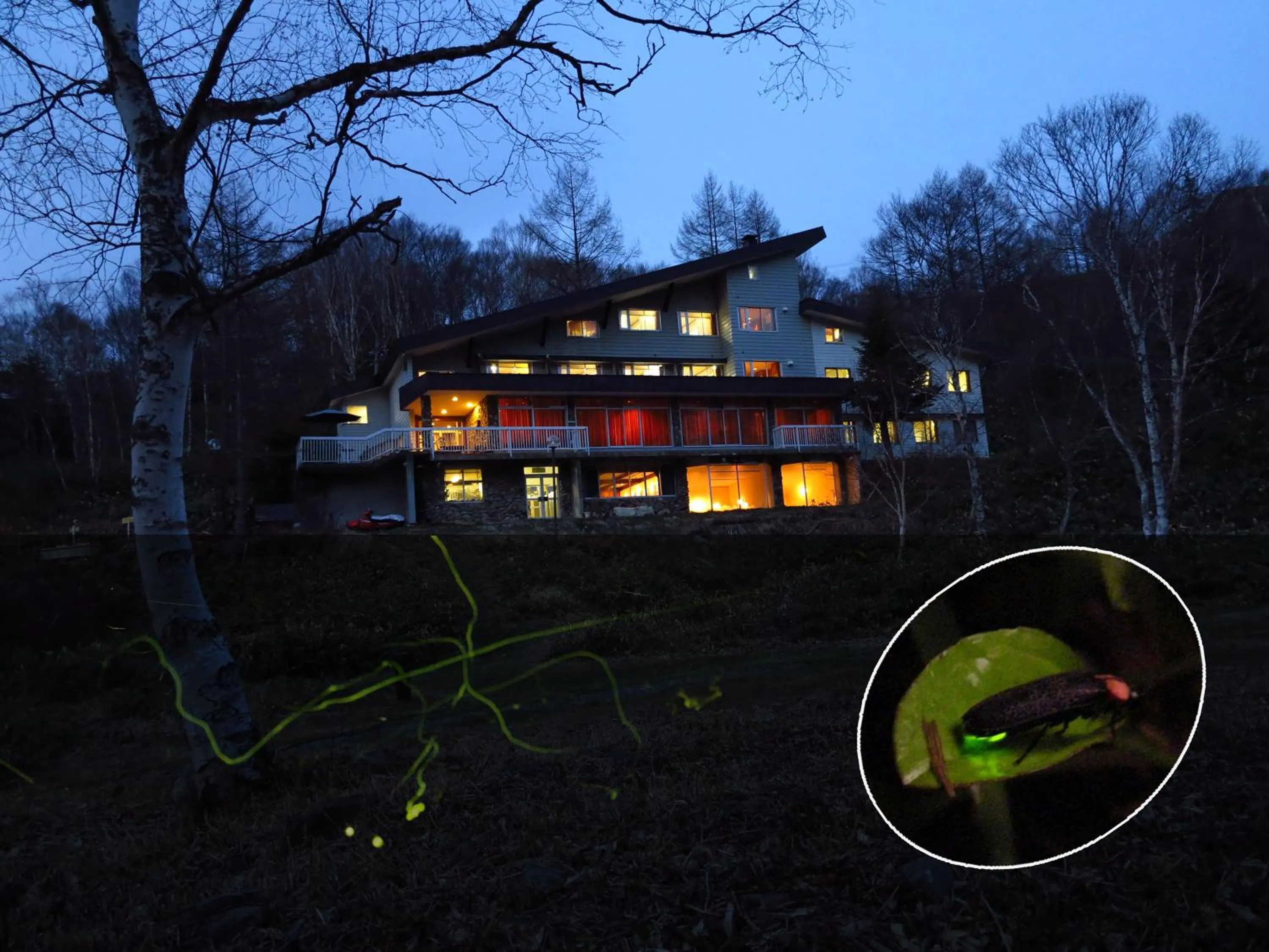 Property building in Ishinoyu Lodge