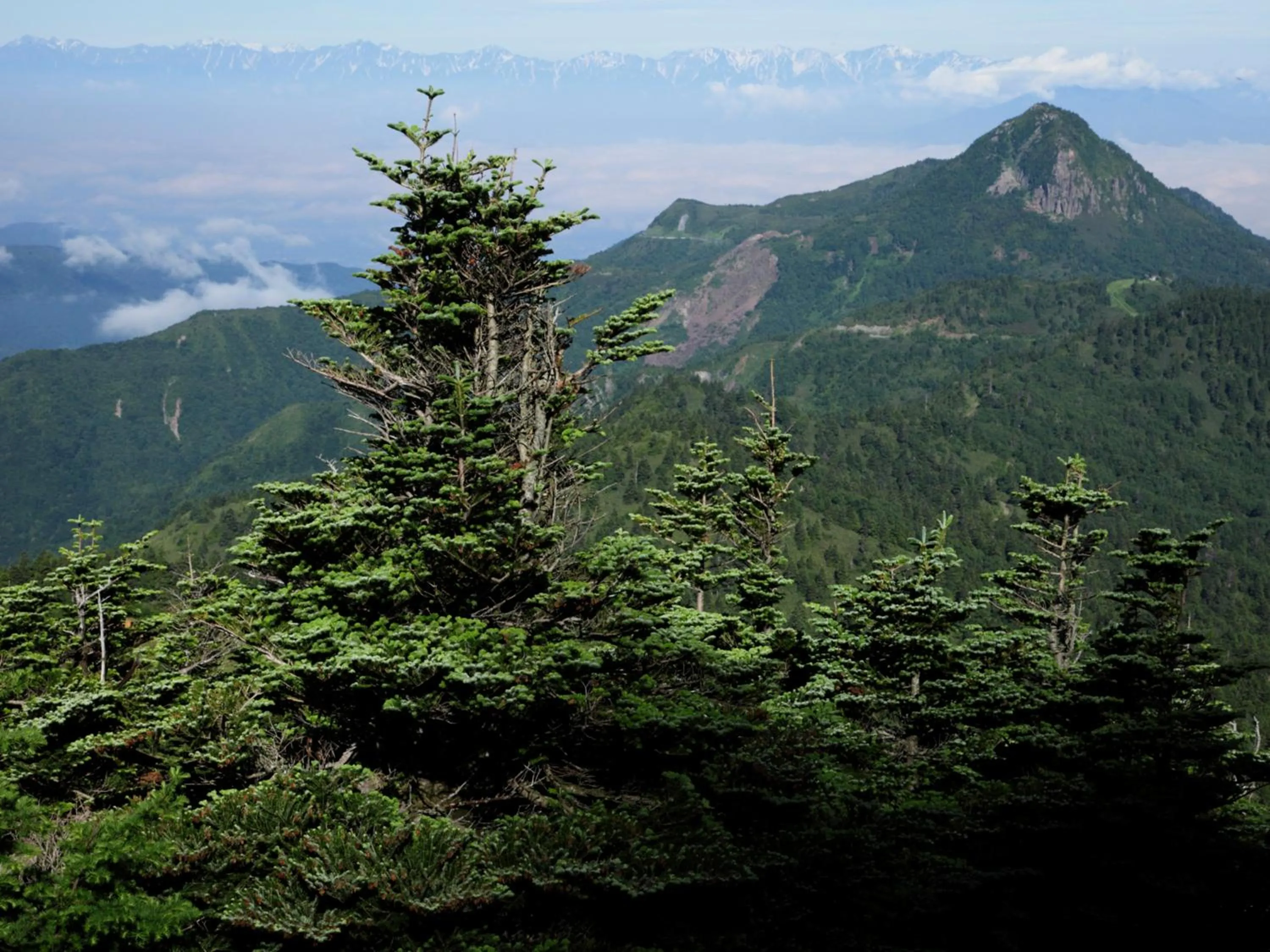 Natural landscape in Ishinoyu Lodge