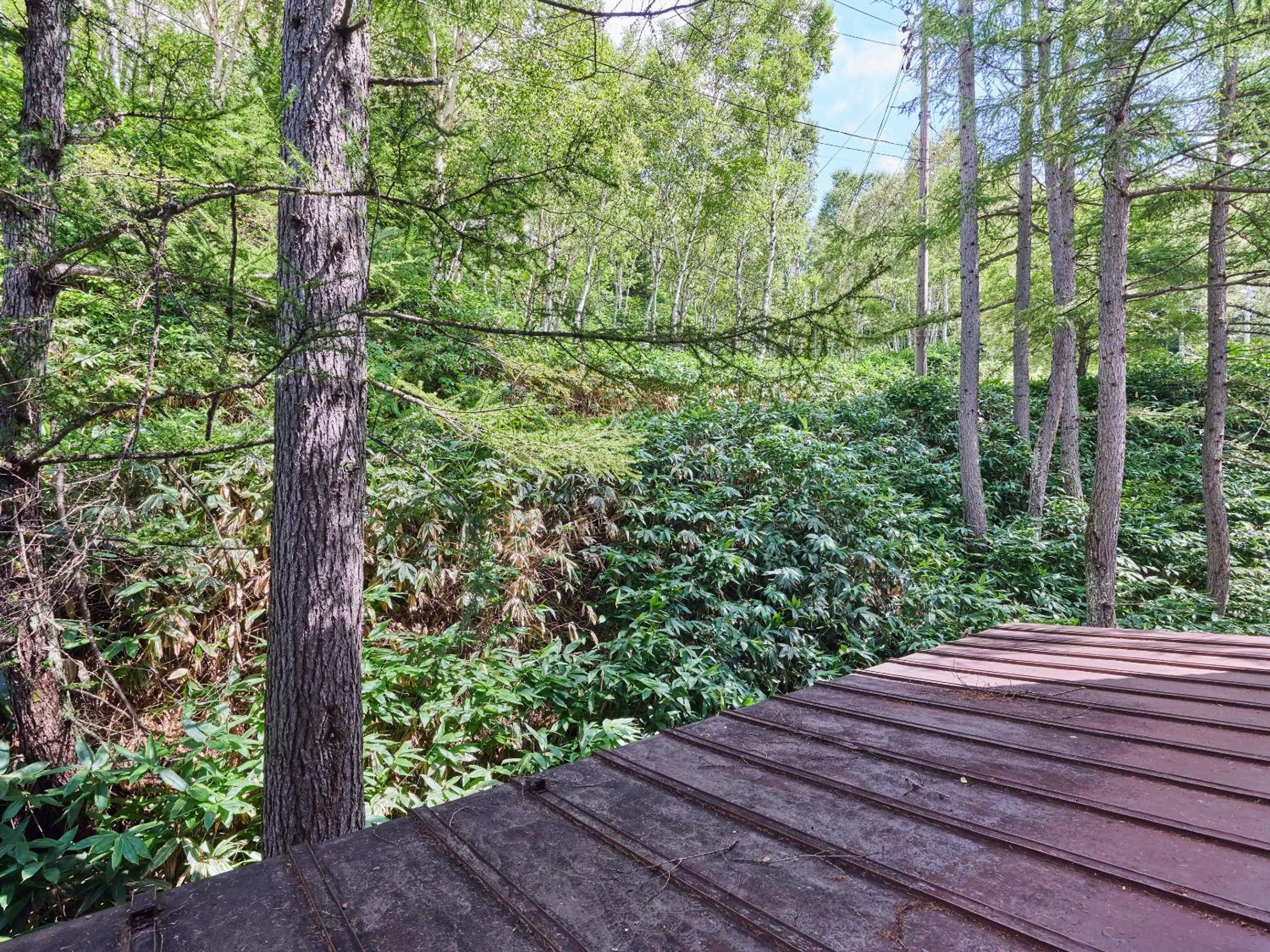Natural landscape in Ishinoyu Lodge