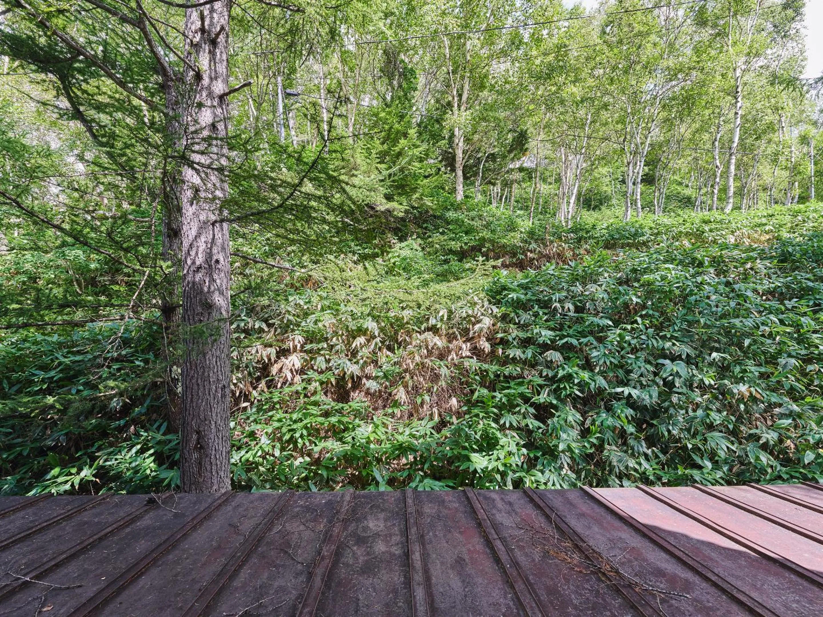 Natural landscape in Ishinoyu Lodge