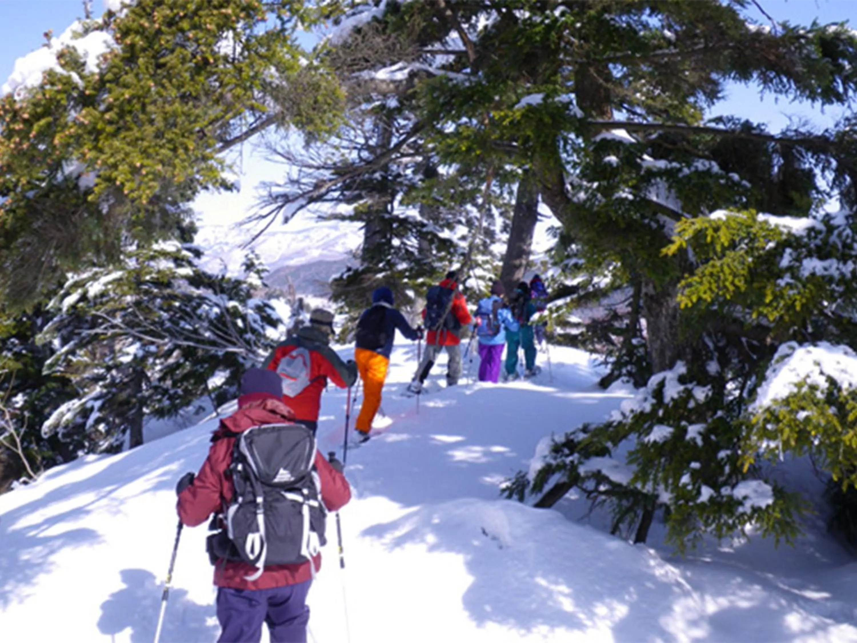 Ski School in Ishinoyu Lodge