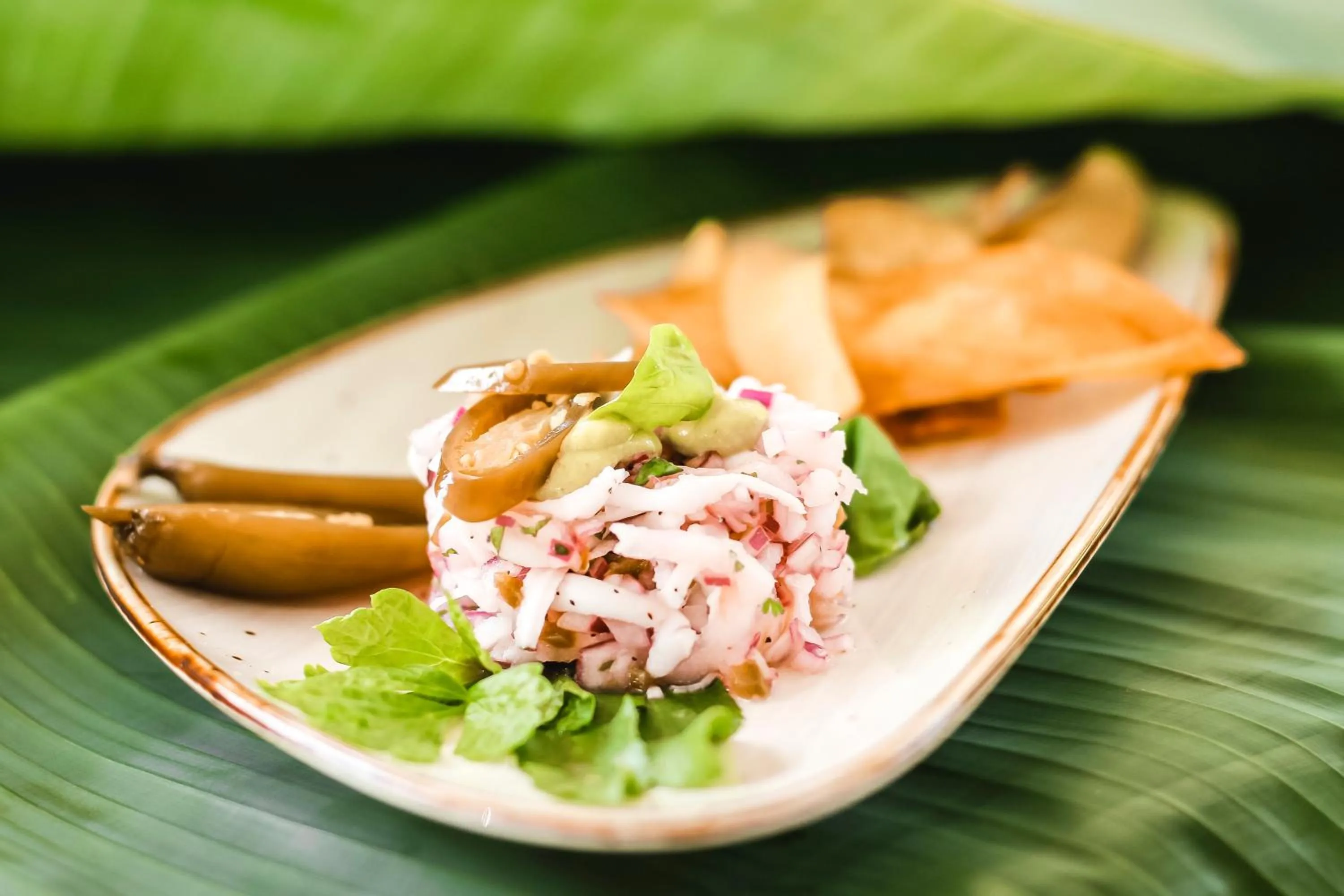 Food and drinks in Igloo Beach Lodge