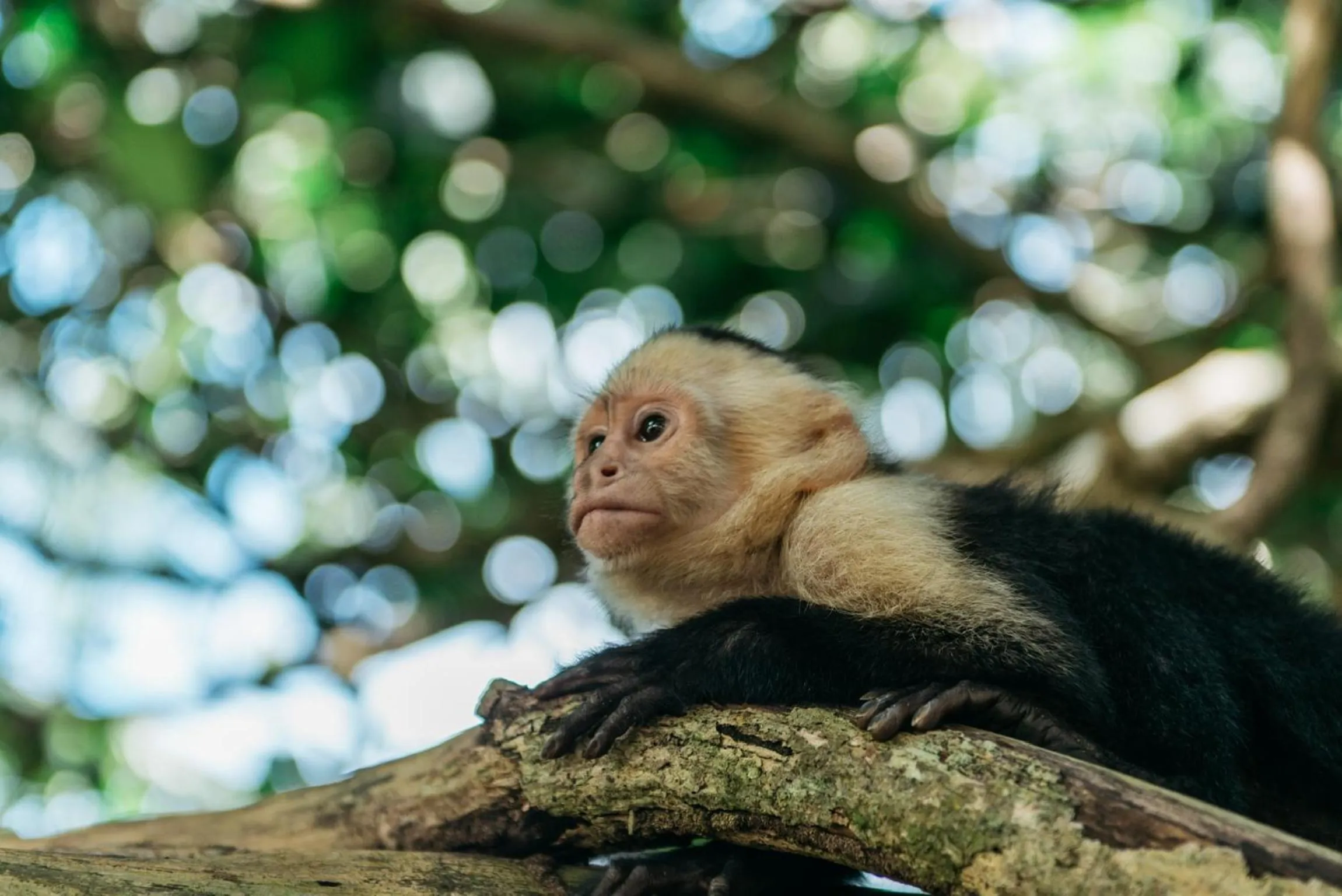 Day in Igloo Beach Lodge