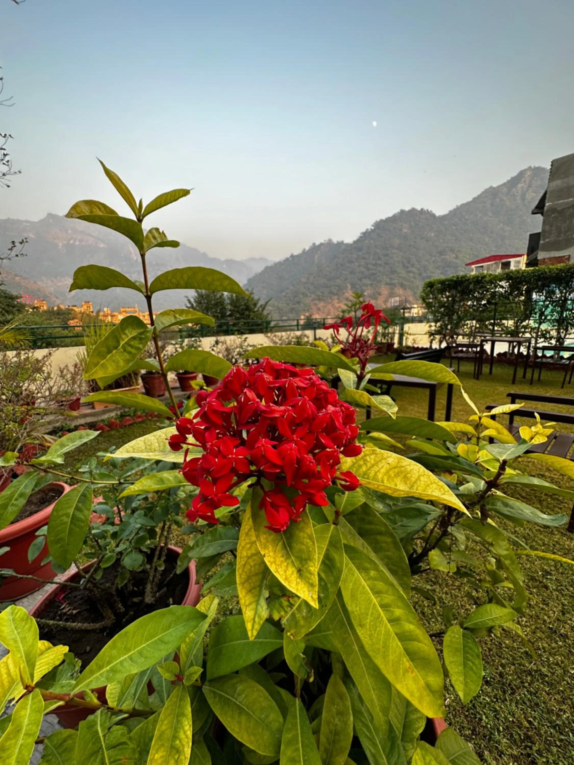 Garden in Hotel Dewa Retreat- A Himalayan Boutique Hotel