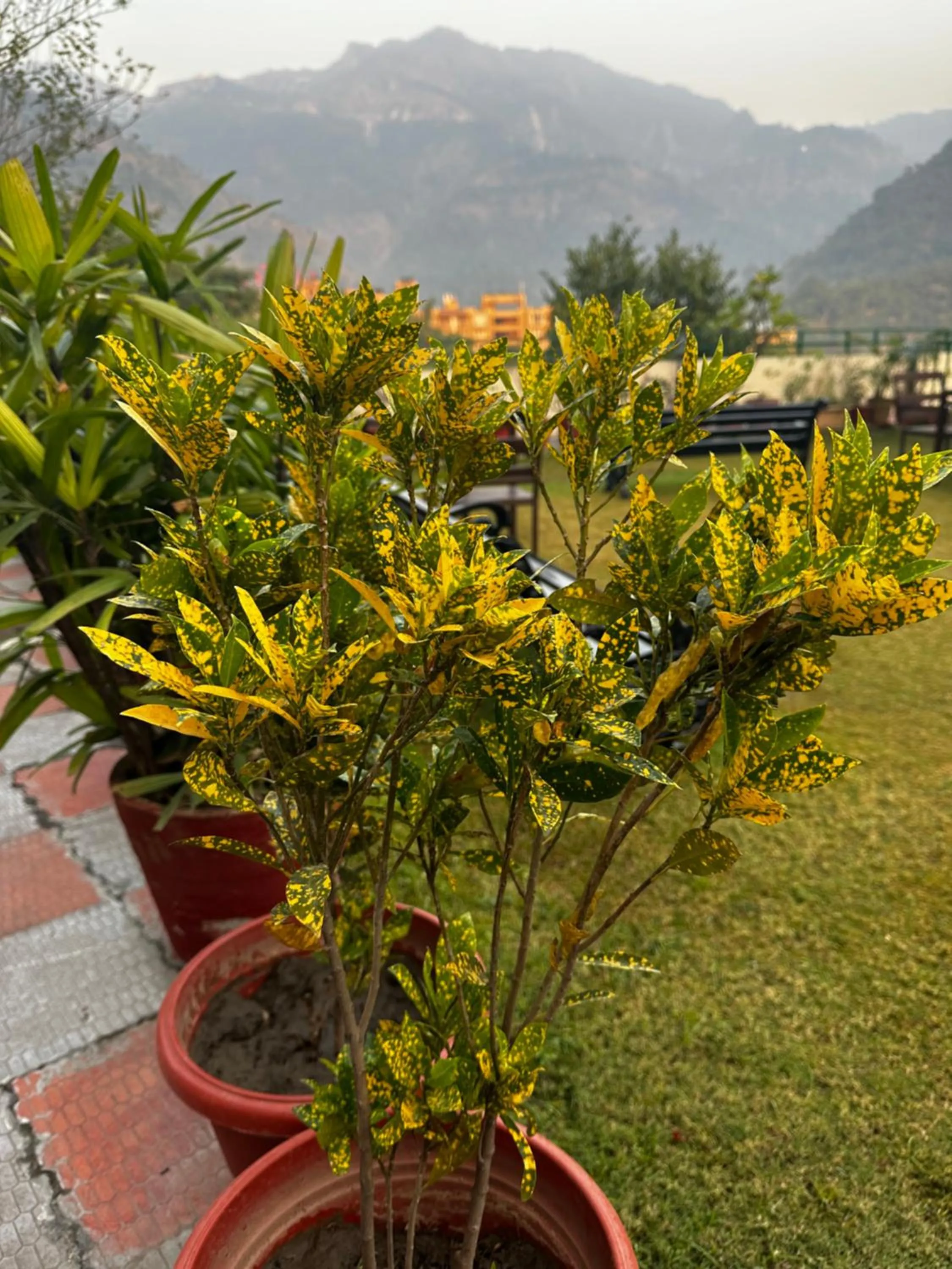 Garden in Hotel Dewa Retreat- A Himalayan Boutique Hotel