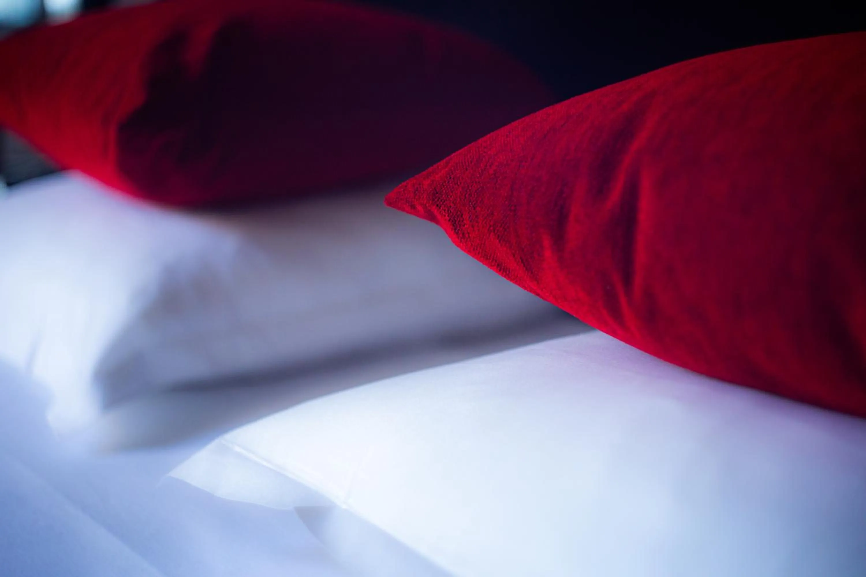 Decorative detail, Bed in Eiffel Villa Garibaldi