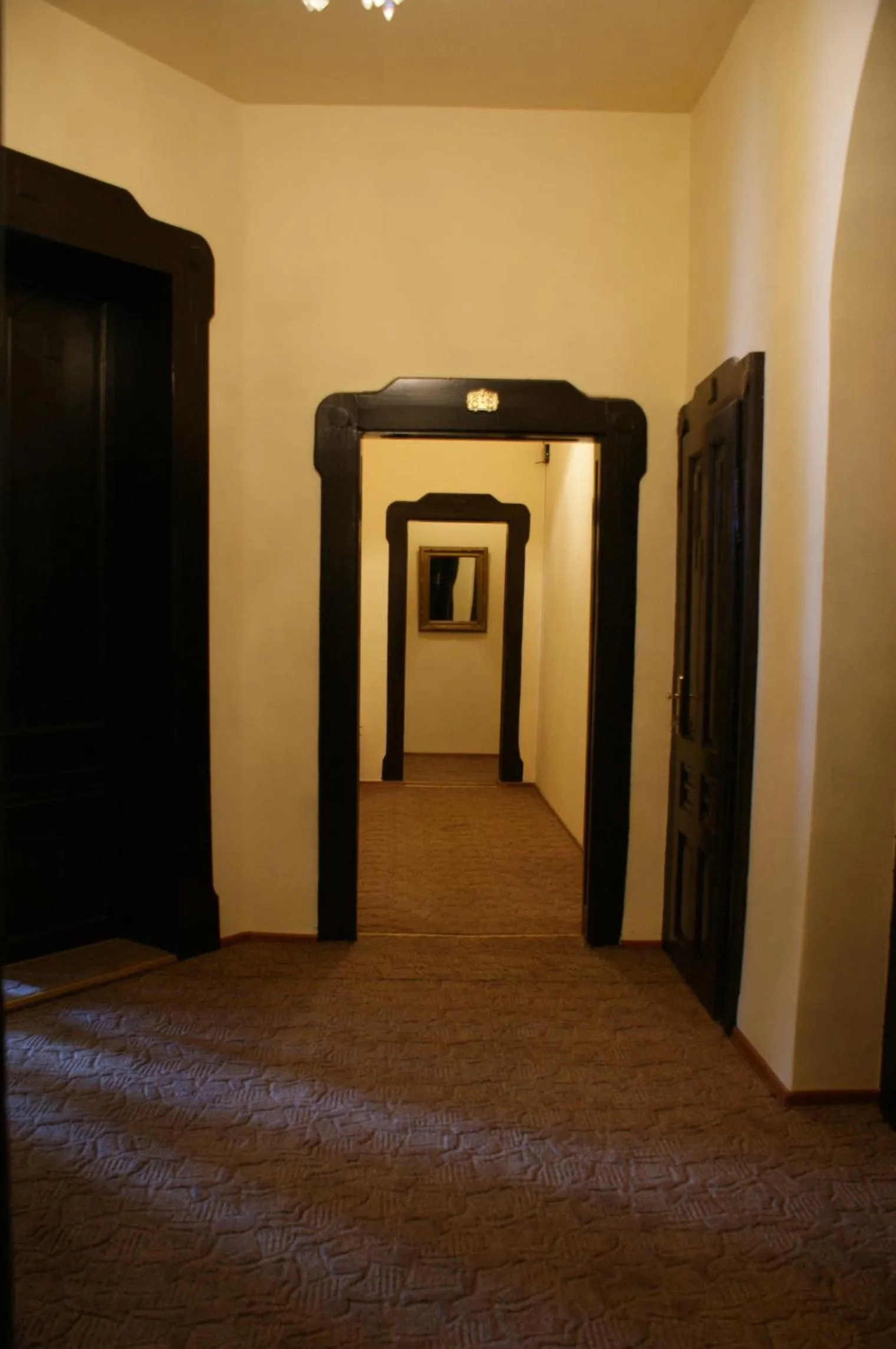 Other in VILA Corviniana