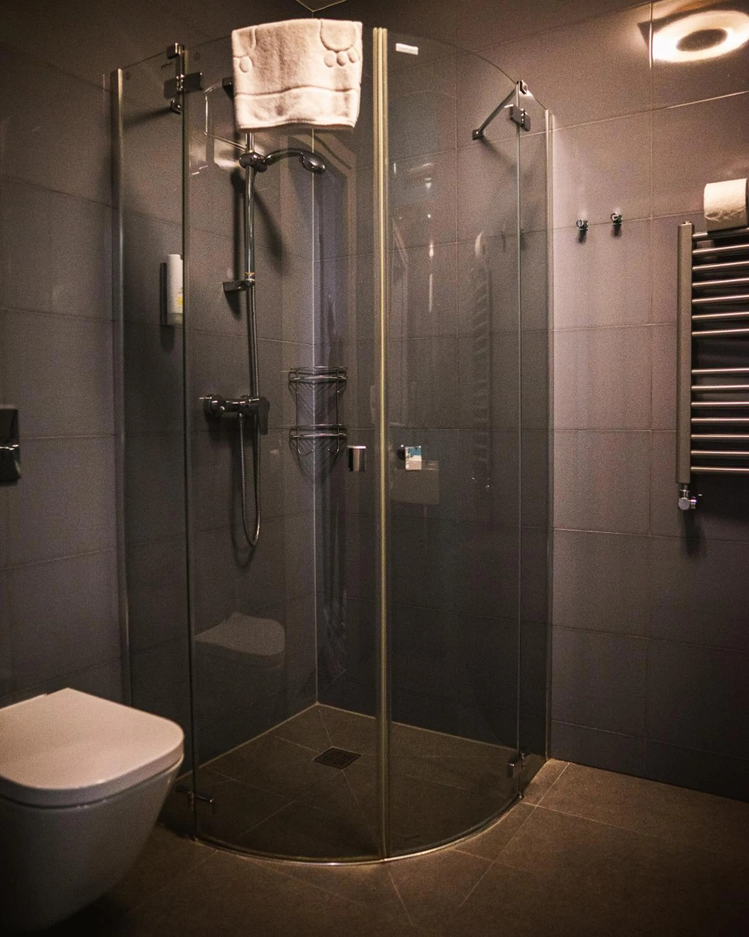 Bathroom in Hotel Lenart