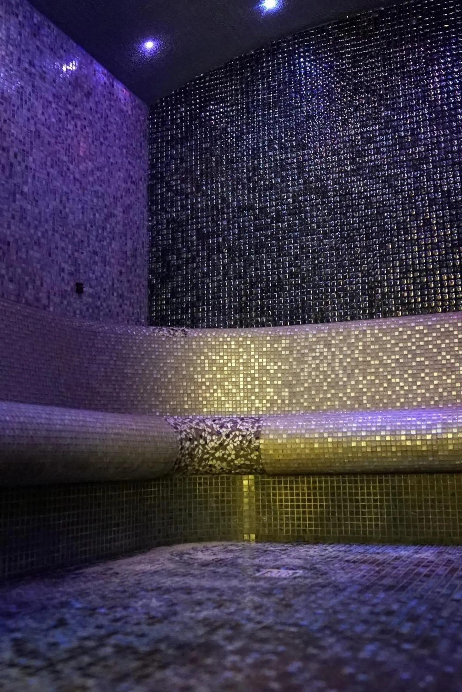 Sauna in Hotel Lenart