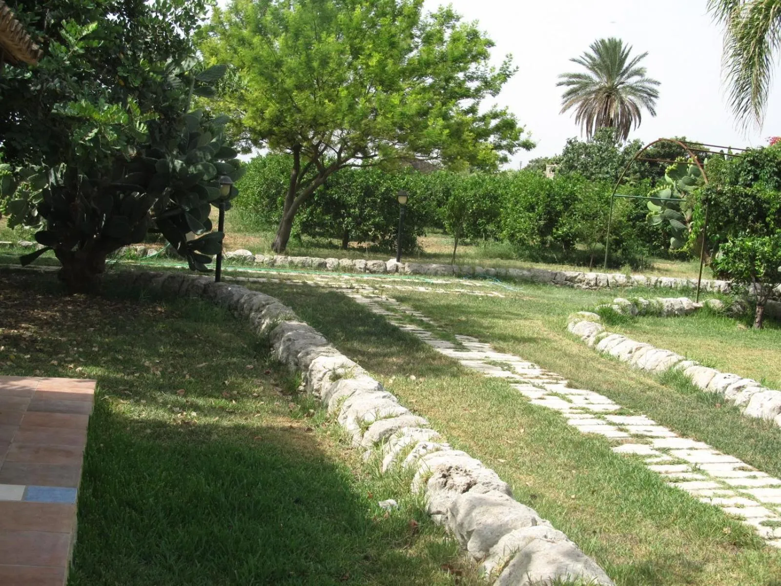 Garden in Aranceto Hotel