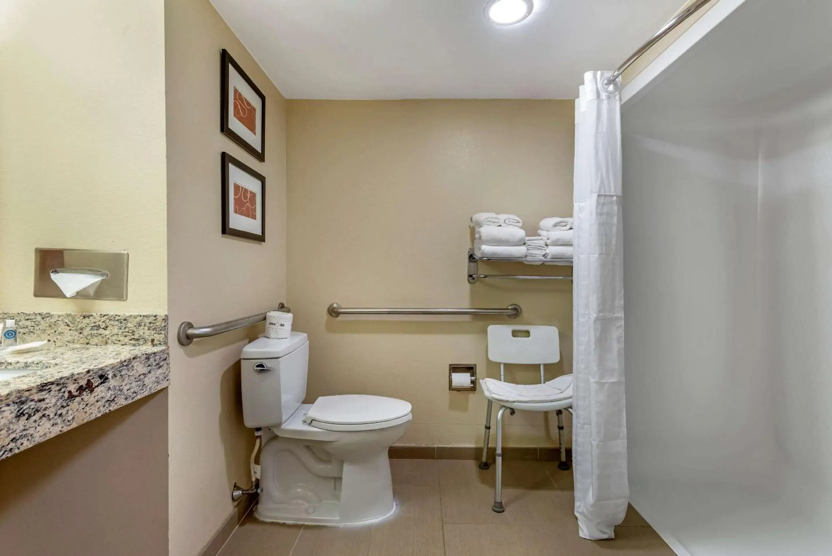 King Suite - Accessible/Non-Smoking in Comfort Suites Newark - Harrison King Suite - Accessible/Non-Smoking in Comfort Suites Newark - Harrison