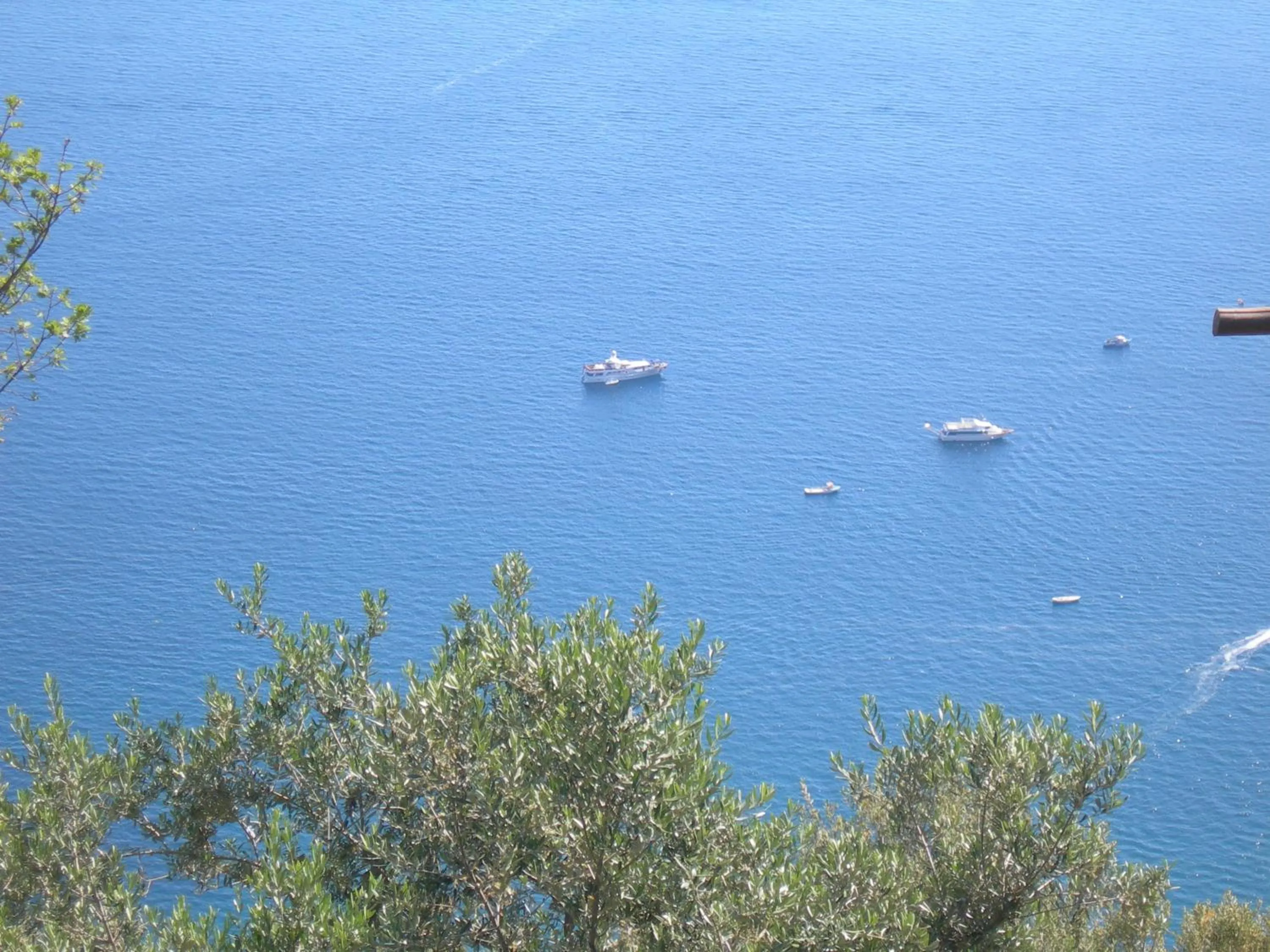 Natural landscape in Fattoria La Tagliata