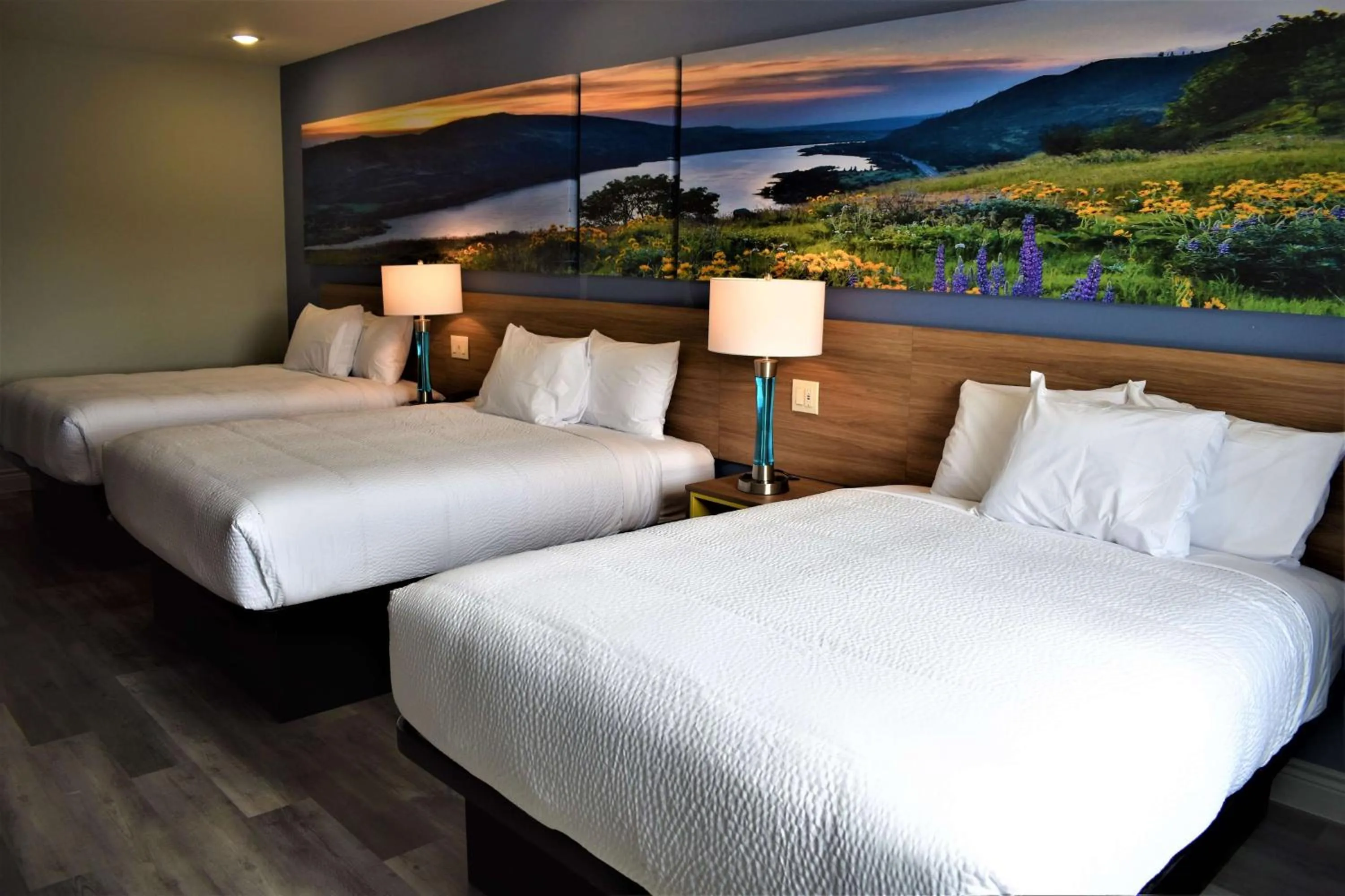 Photo of the whole room, Bed in Days Inn & Suites by Wyndham Downtown/University of Houston