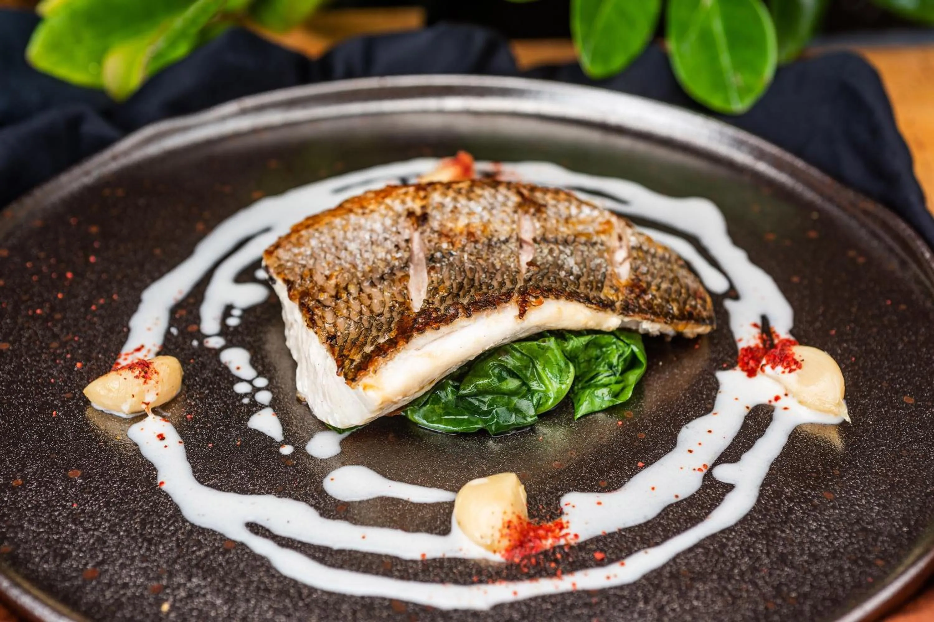 Restaurant/places to eat in Ermita Cartagena, a Tribute Portfolio Hotel