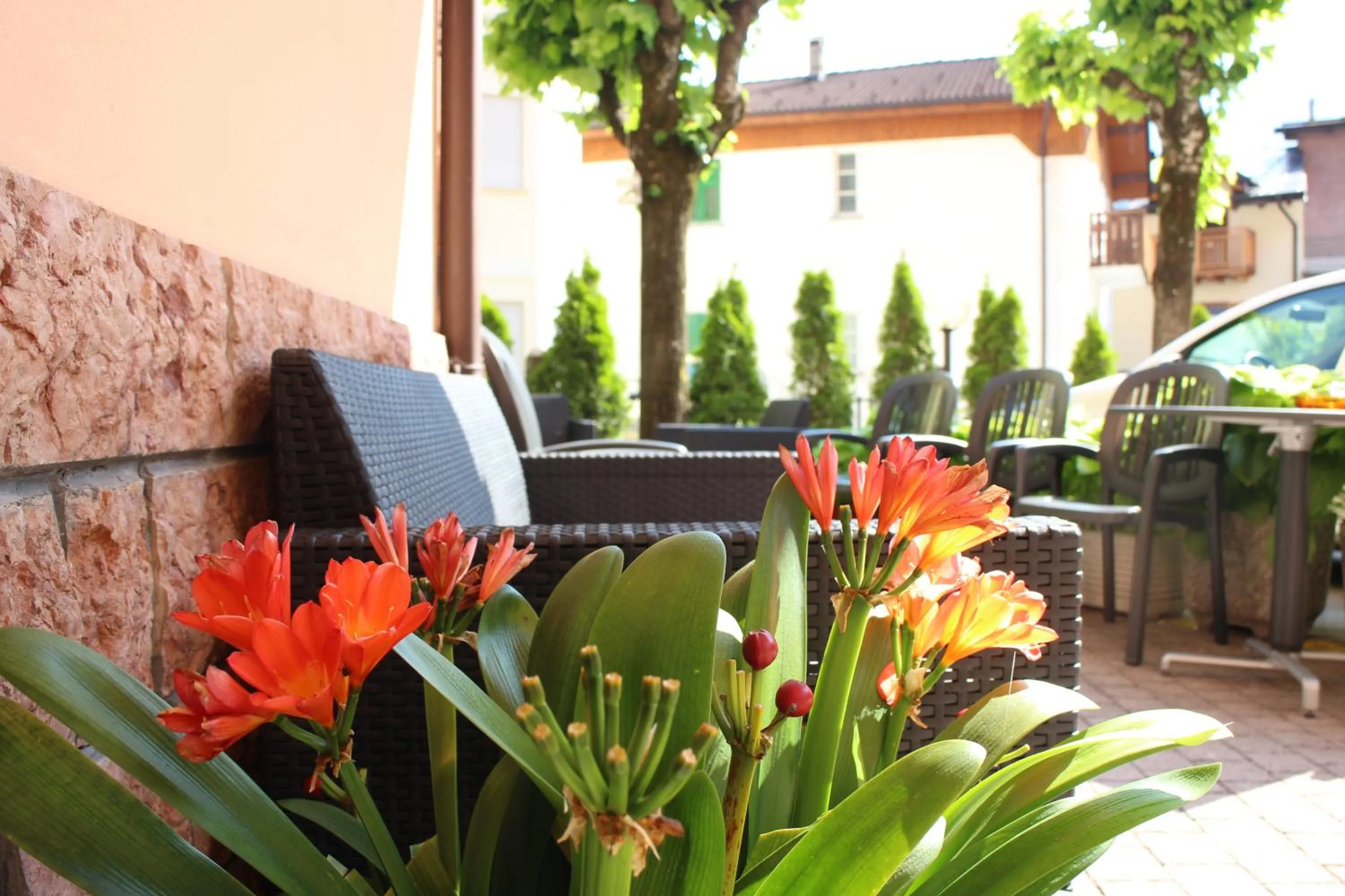 Garden in Hotel Paganella