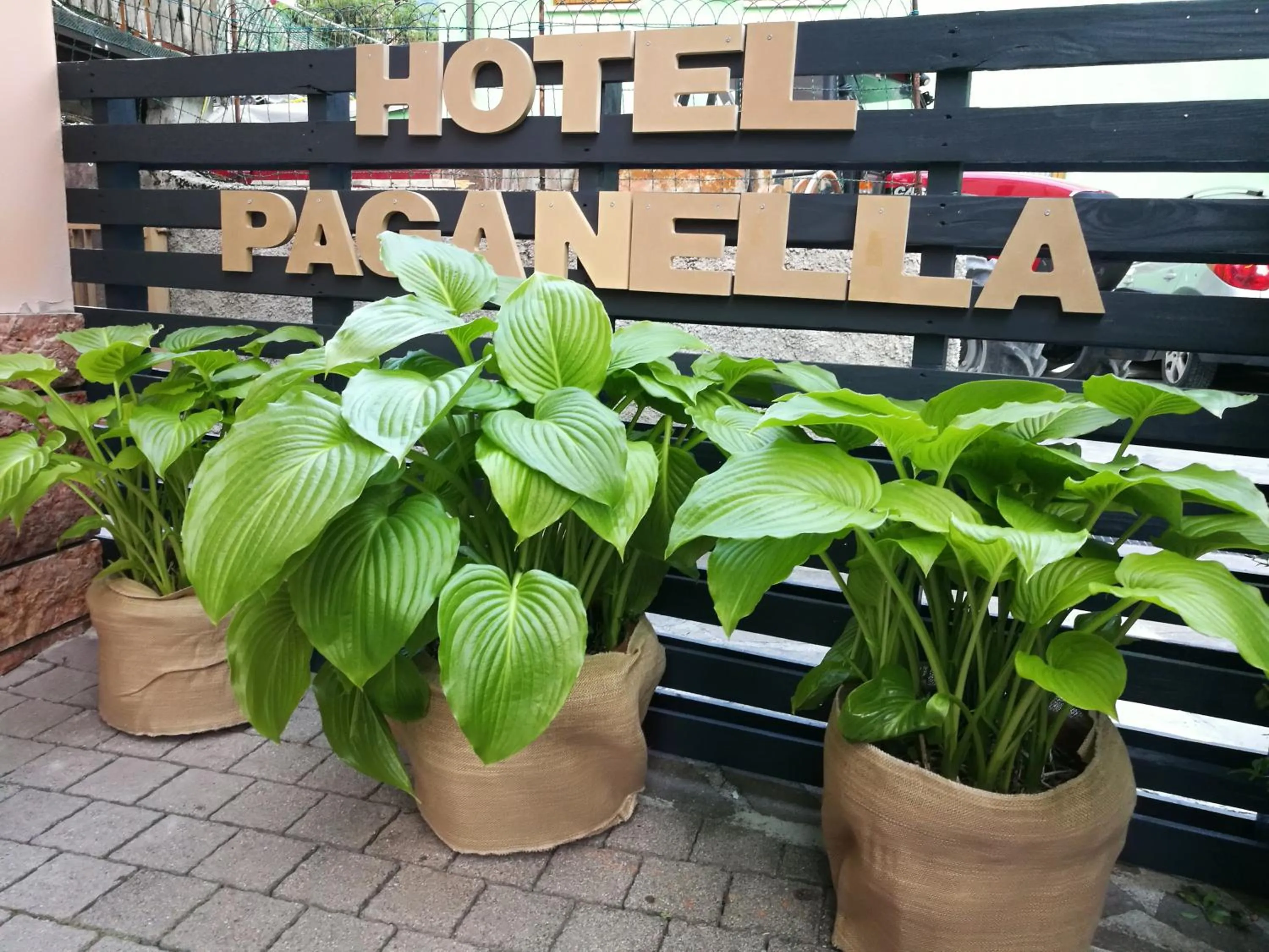 Garden in Hotel Paganella