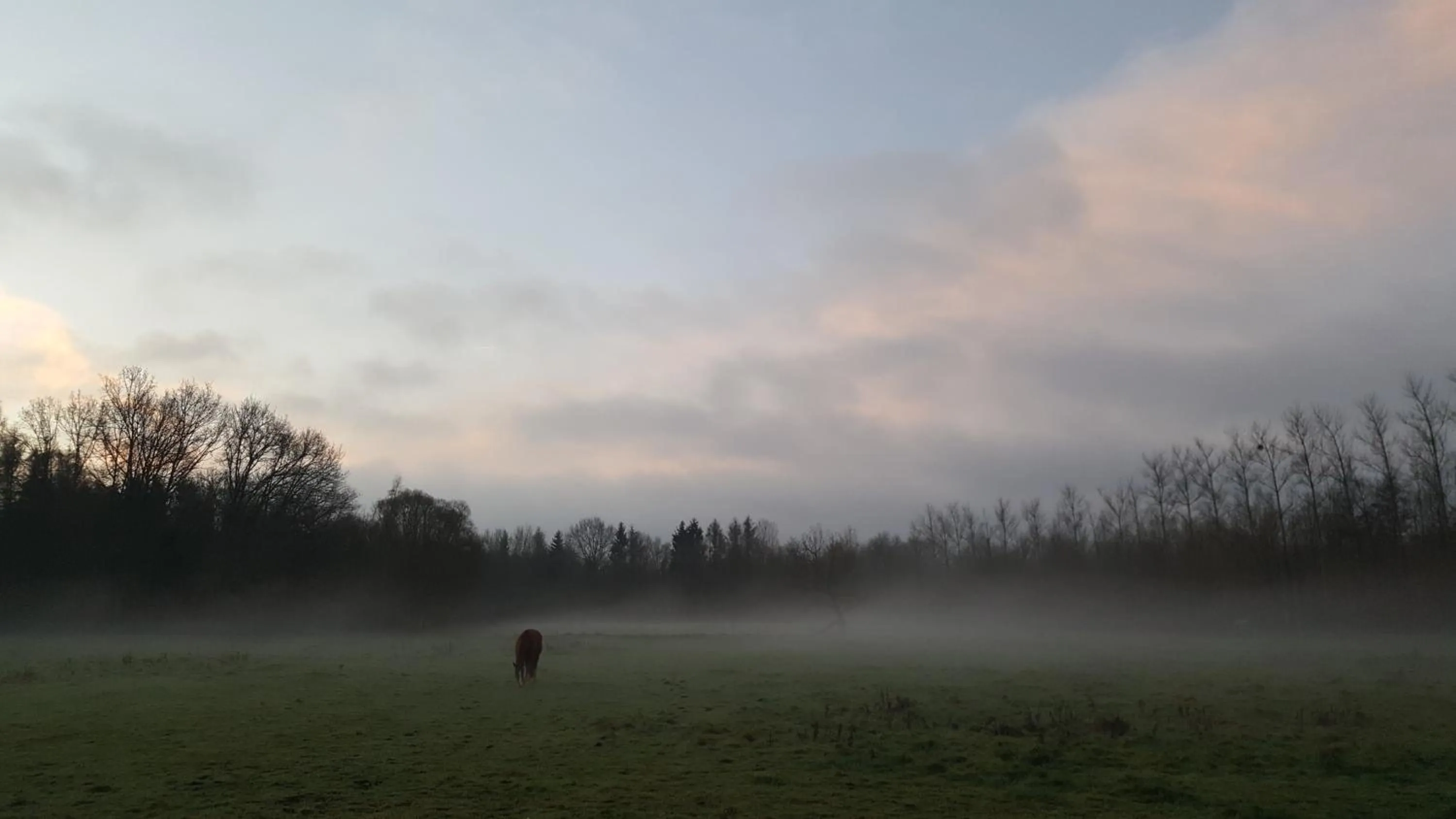 Natural landscape in B&B Leybeeckhof