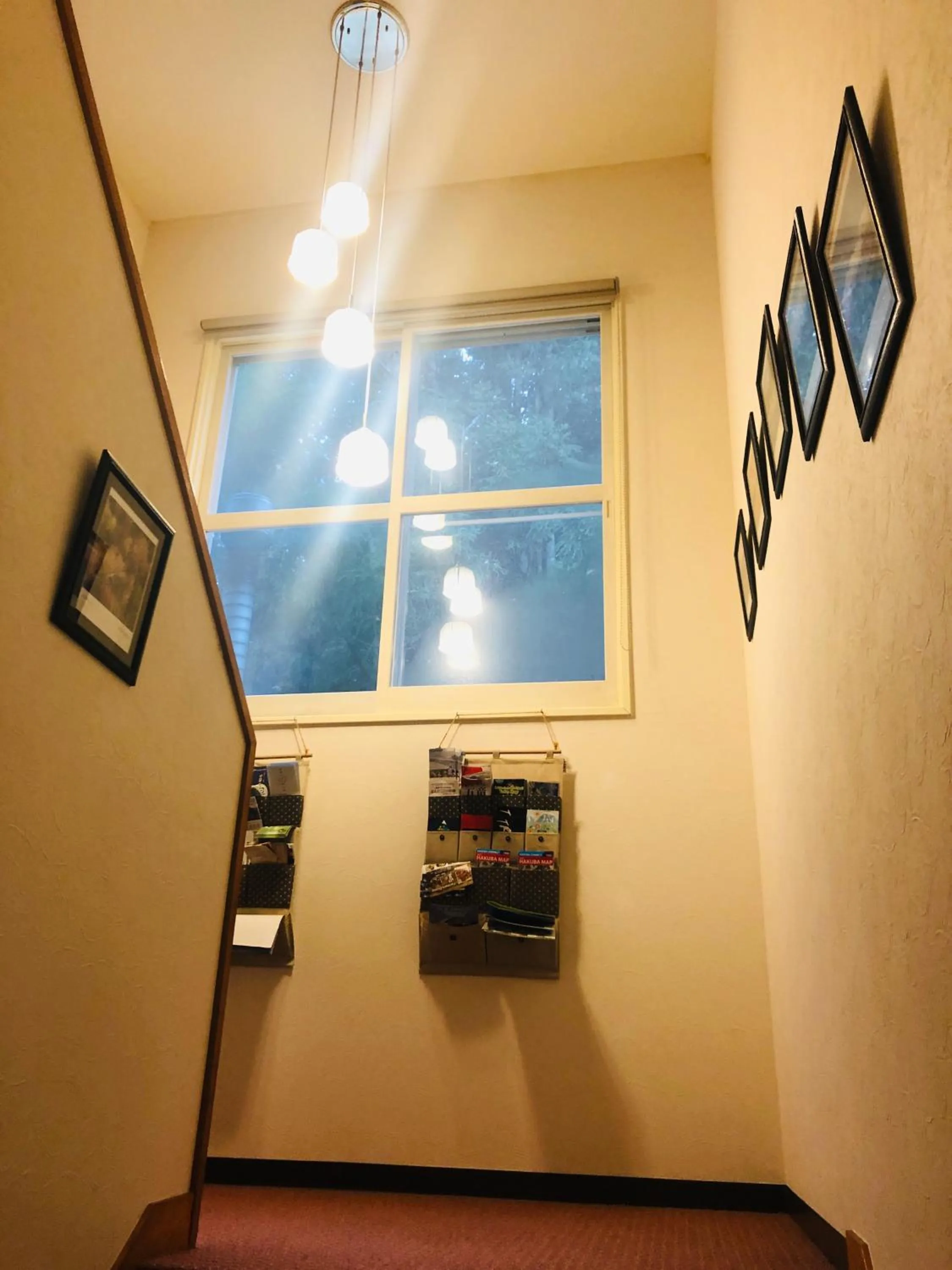 Other in Snow Elephant