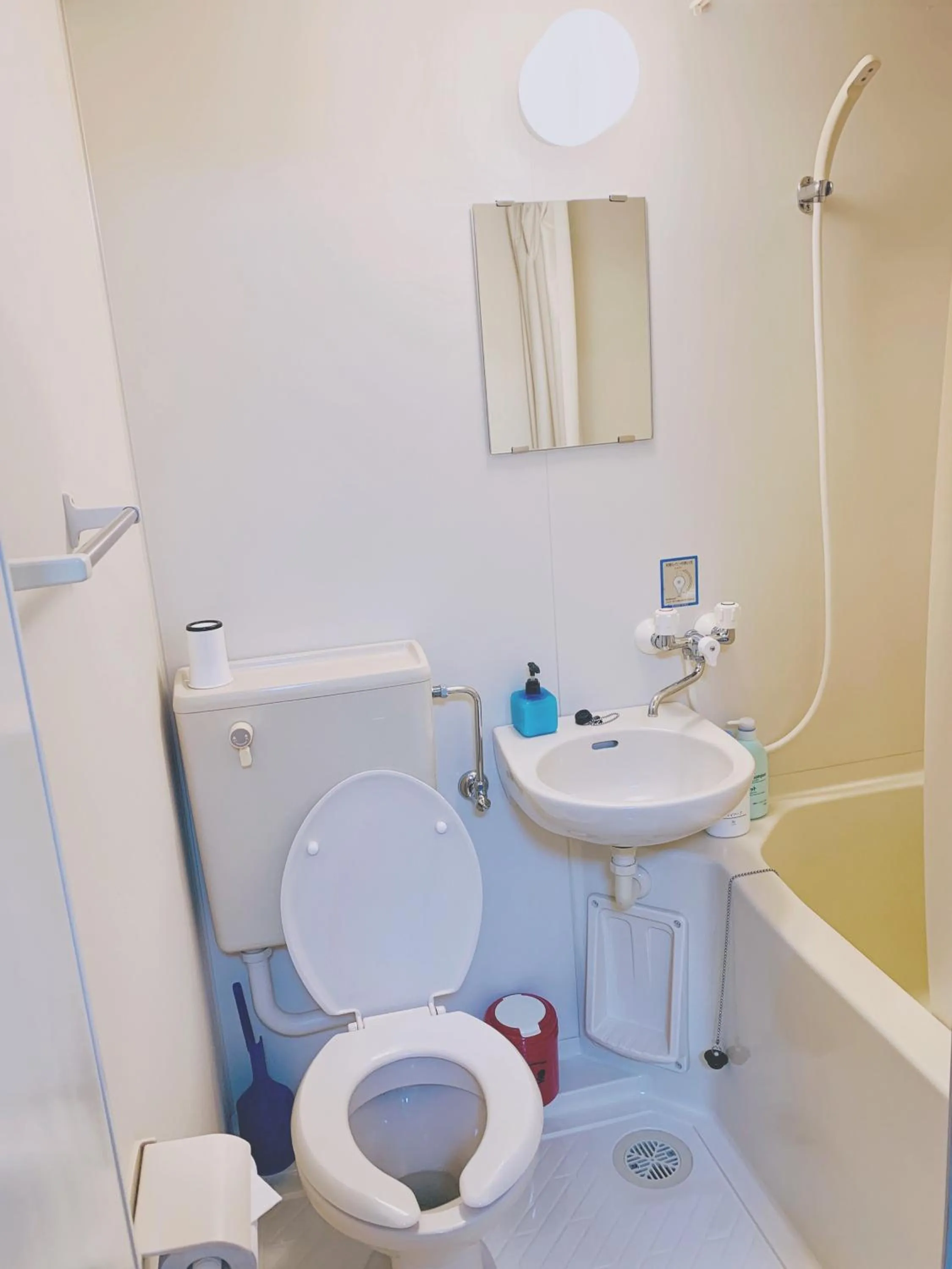 Bathroom in Snow Elephant