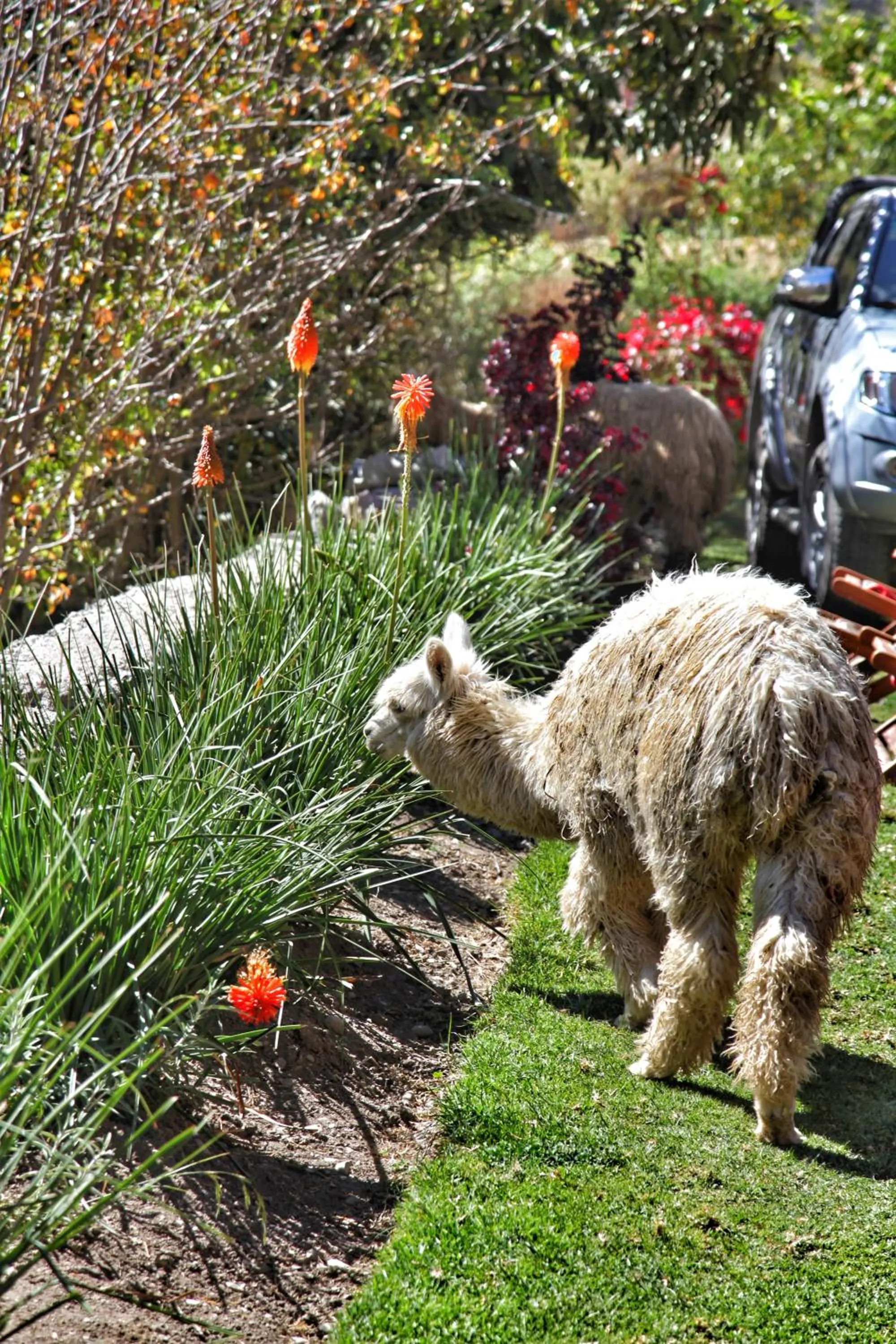 Patio in Tunupa Lodge Hotel